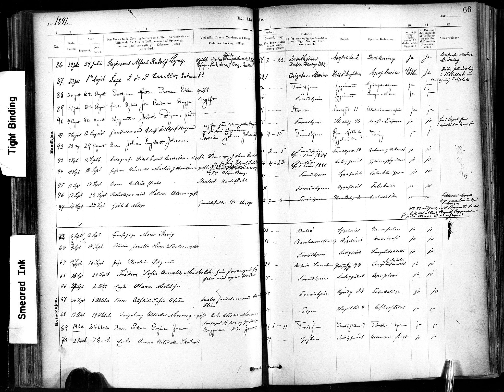 Ministerialprotokoller, klokkerbøker og fødselsregistre - Sør-Trøndelag, SAT/A-1456/602/L0120: Ministerialbok nr. 602A18, 1880-1913, s. 66