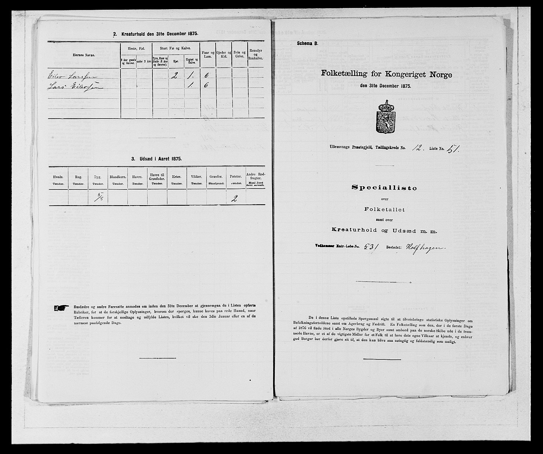 SAB, Folketelling 1875 for 1230P Ullensvang prestegjeld, 1875, s. 1319