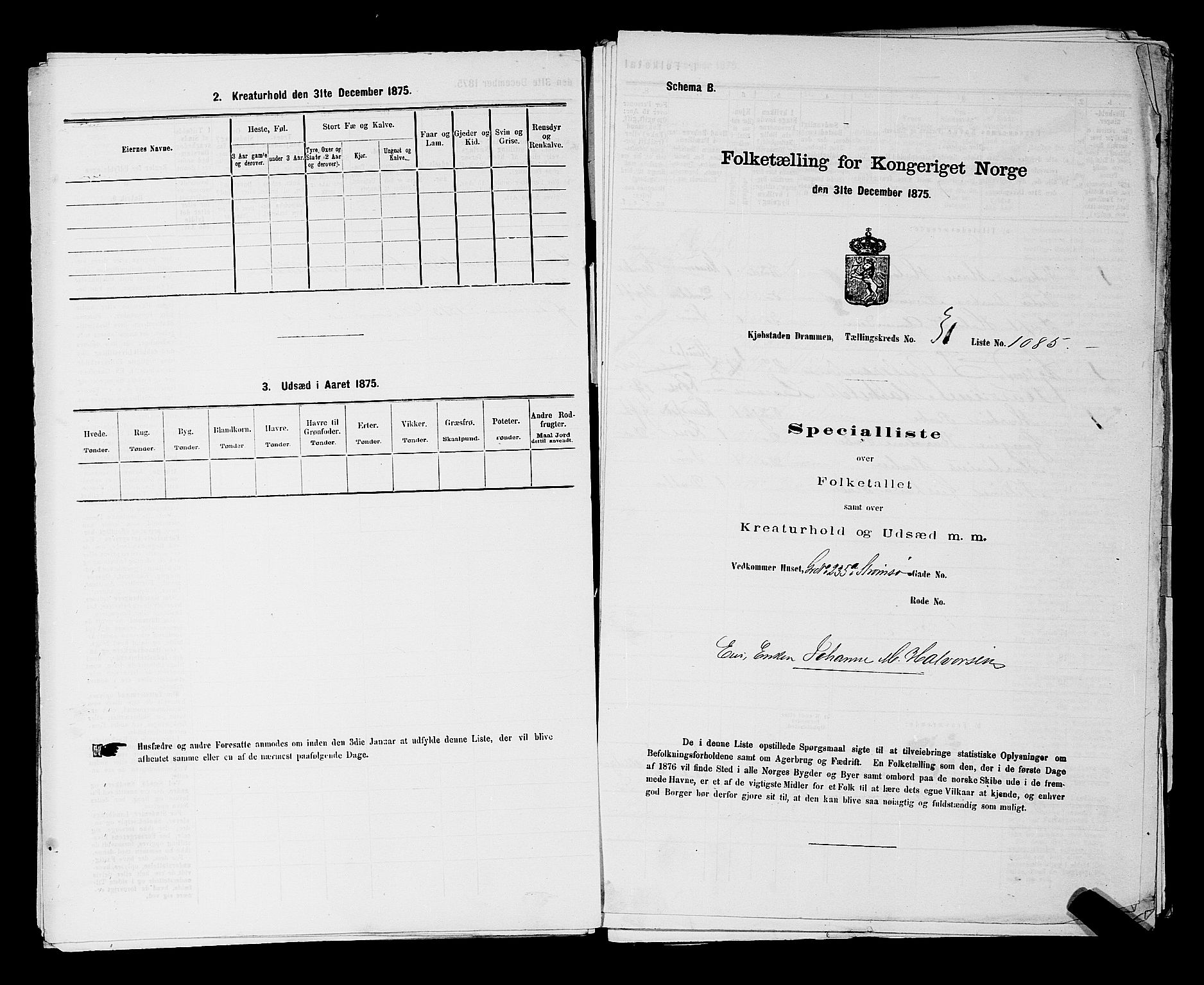 SAKO, Folketelling 1875 for 0602 Drammen kjøpstad, 1875, s. 2873