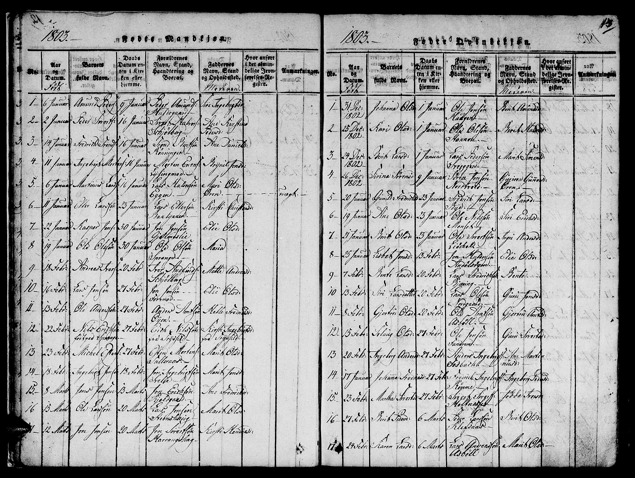 Ministerialprotokoller, klokkerbøker og fødselsregistre - Sør-Trøndelag, AV/SAT-A-1456/668/L0803: Ministerialbok nr. 668A03, 1800-1826, s. 13