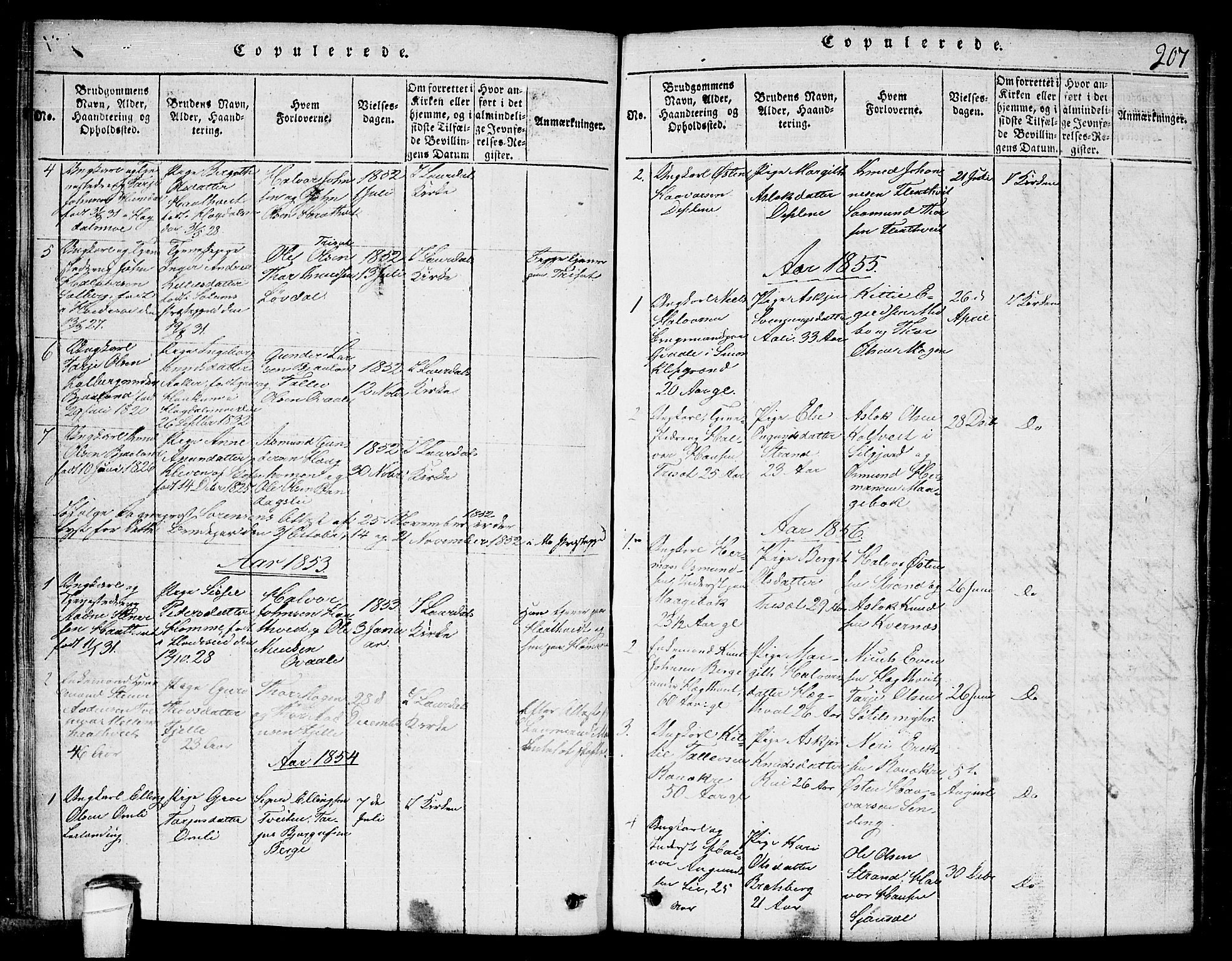Lårdal kirkebøker, AV/SAKO-A-284/G/Ga/L0001: Klokkerbok nr. I 1, 1815-1861, s. 207