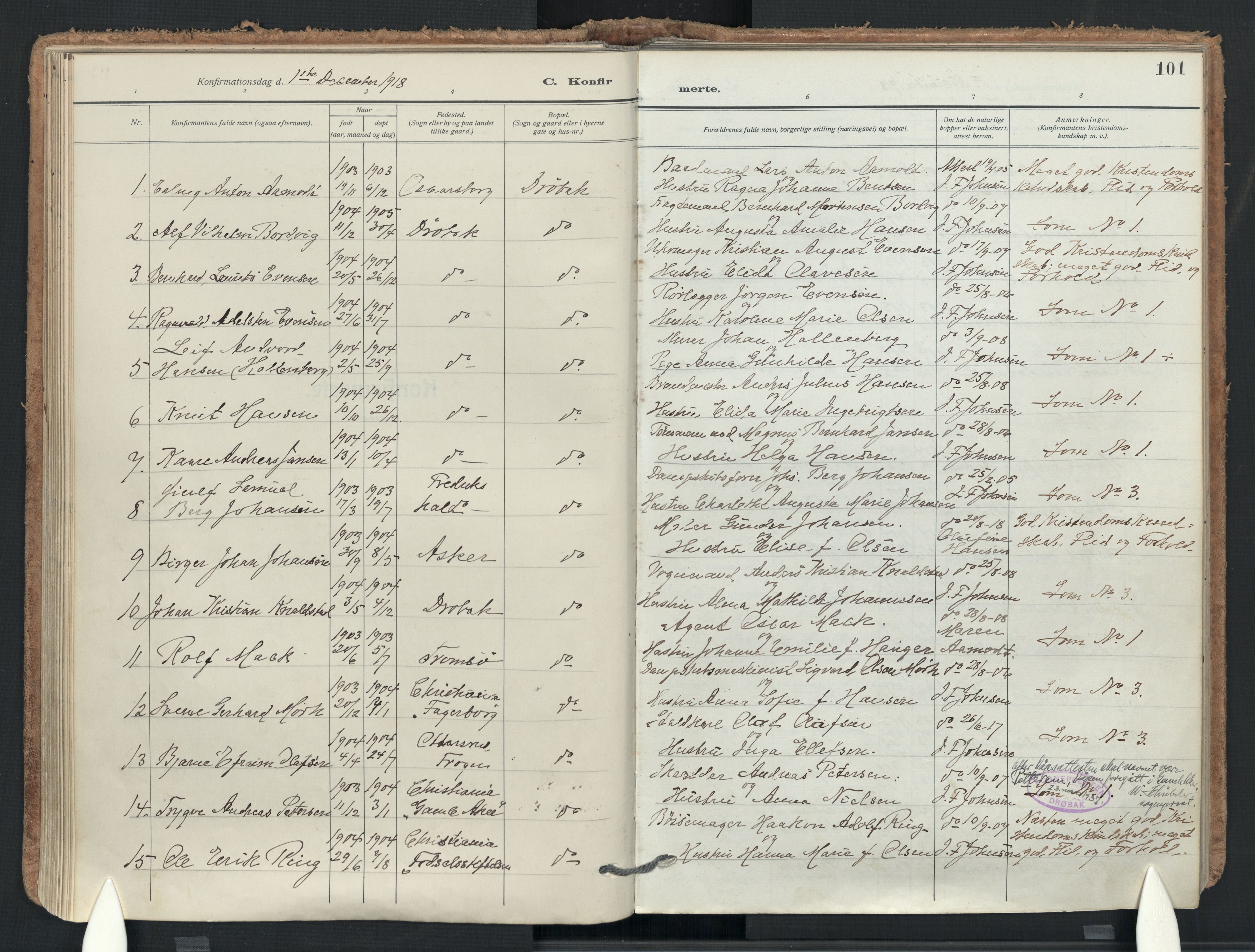 Drøbak prestekontor Kirkebøker, AV/SAO-A-10142a/F/Fb/L0004: Ministerialbok nr. II 4, 1918-1933, s. 101