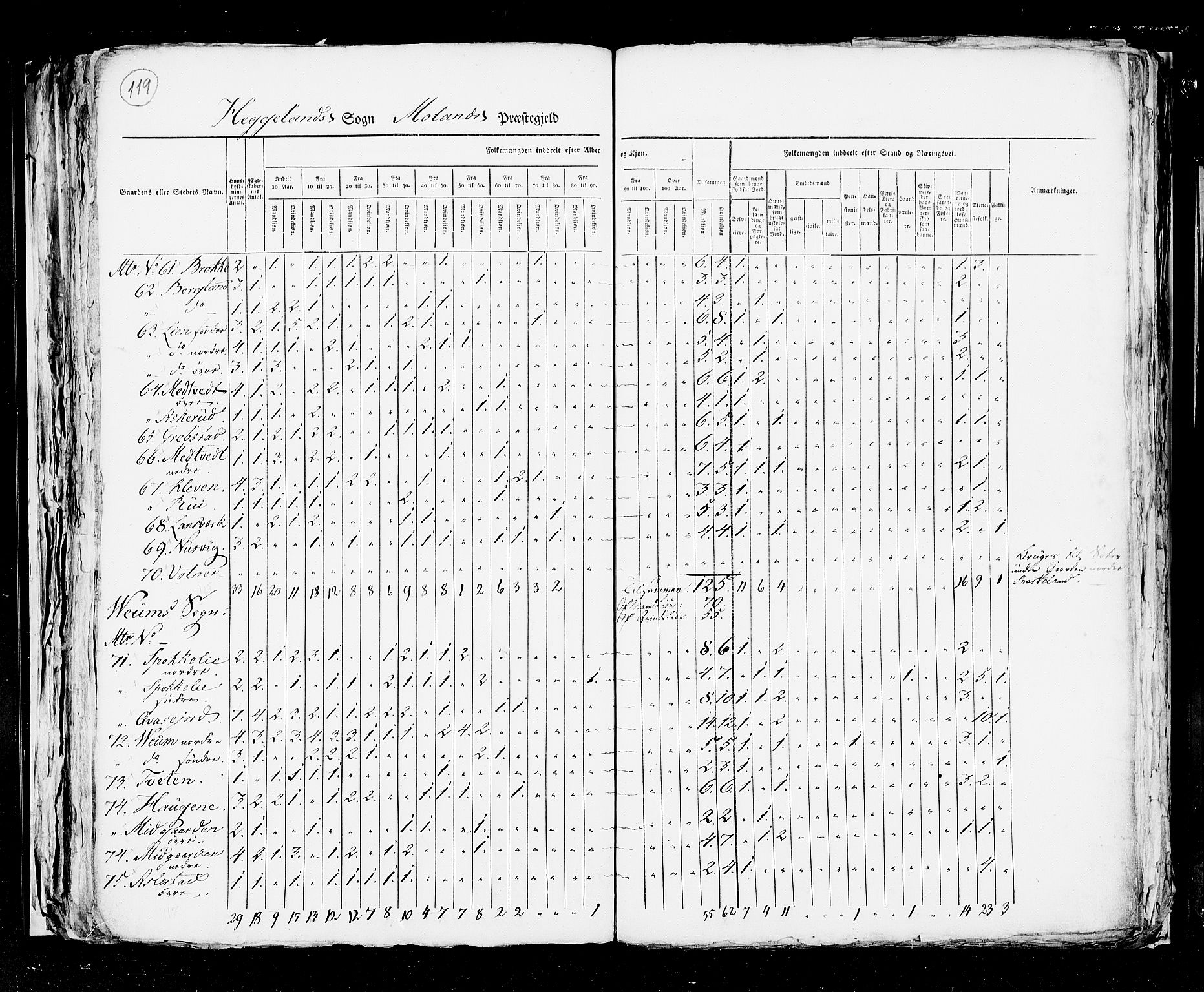 RA, Folketellingen 1825, bind 9: Bratsberg amt, 1825, s. 119