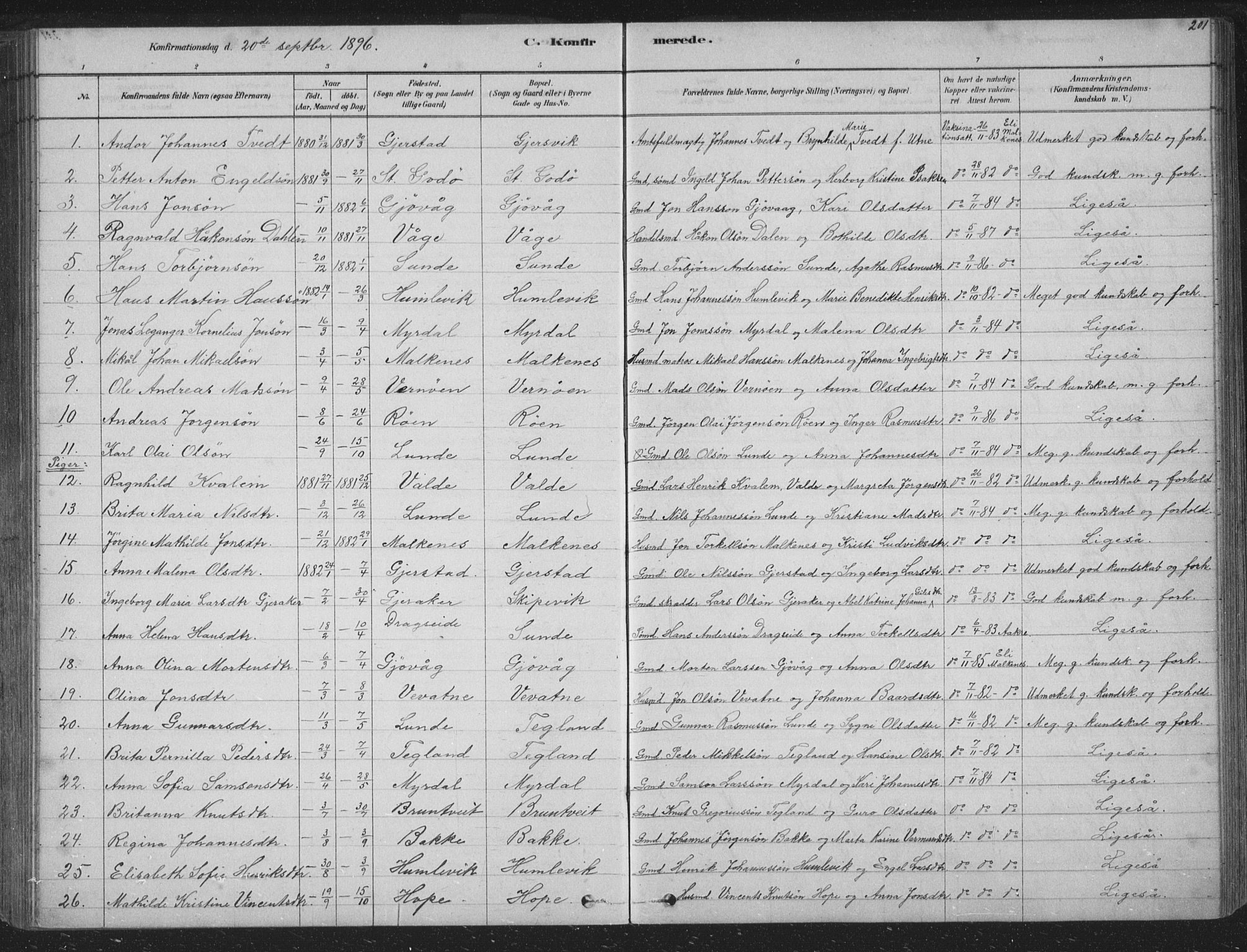Tysnes sokneprestembete, AV/SAB-A-78601/H/Hab: Klokkerbok nr. B 2, 1878-1918, s. 201