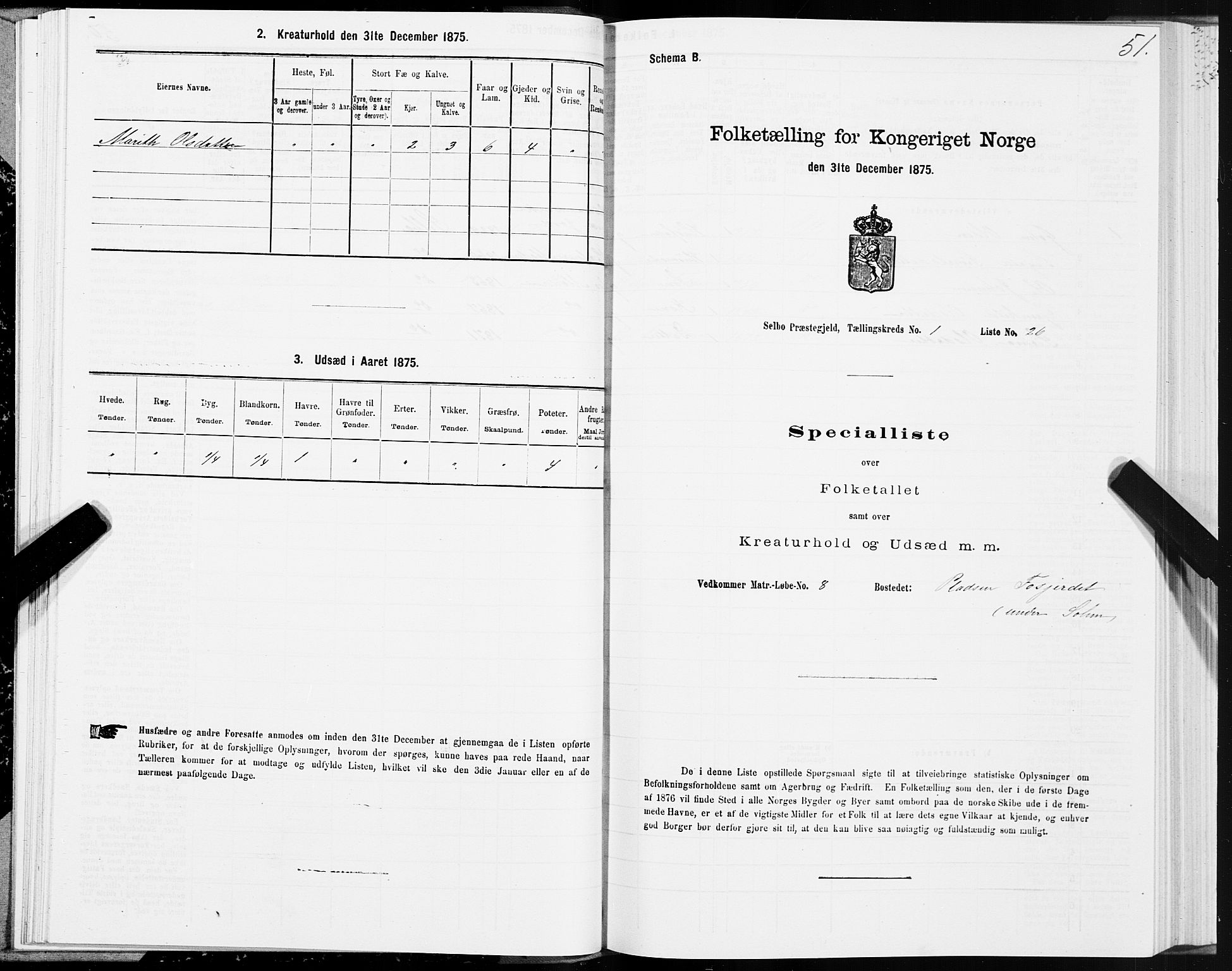 SAT, Folketelling 1875 for 1664P Selbu prestegjeld, 1875, s. 1051