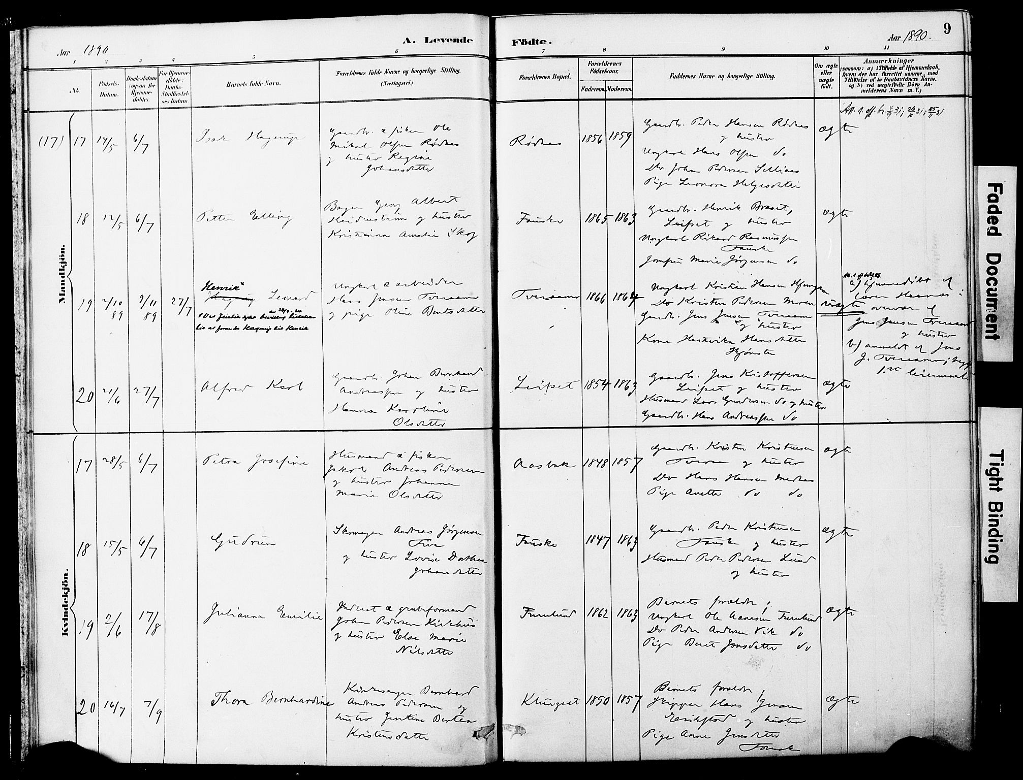 Ministerialprotokoller, klokkerbøker og fødselsregistre - Nordland, AV/SAT-A-1459/849/L0690: Ministerialbok nr. 849A02, 1890-1897, s. 9