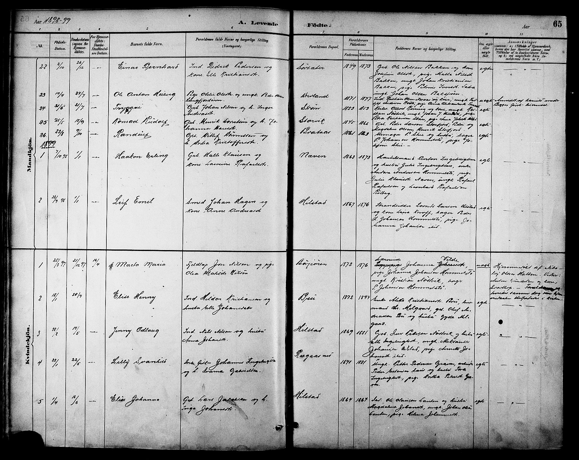 Ministerialprotokoller, klokkerbøker og fødselsregistre - Nordland, SAT/A-1459/814/L0230: Klokkerbok nr. 814C03, 1884-1911, s. 65