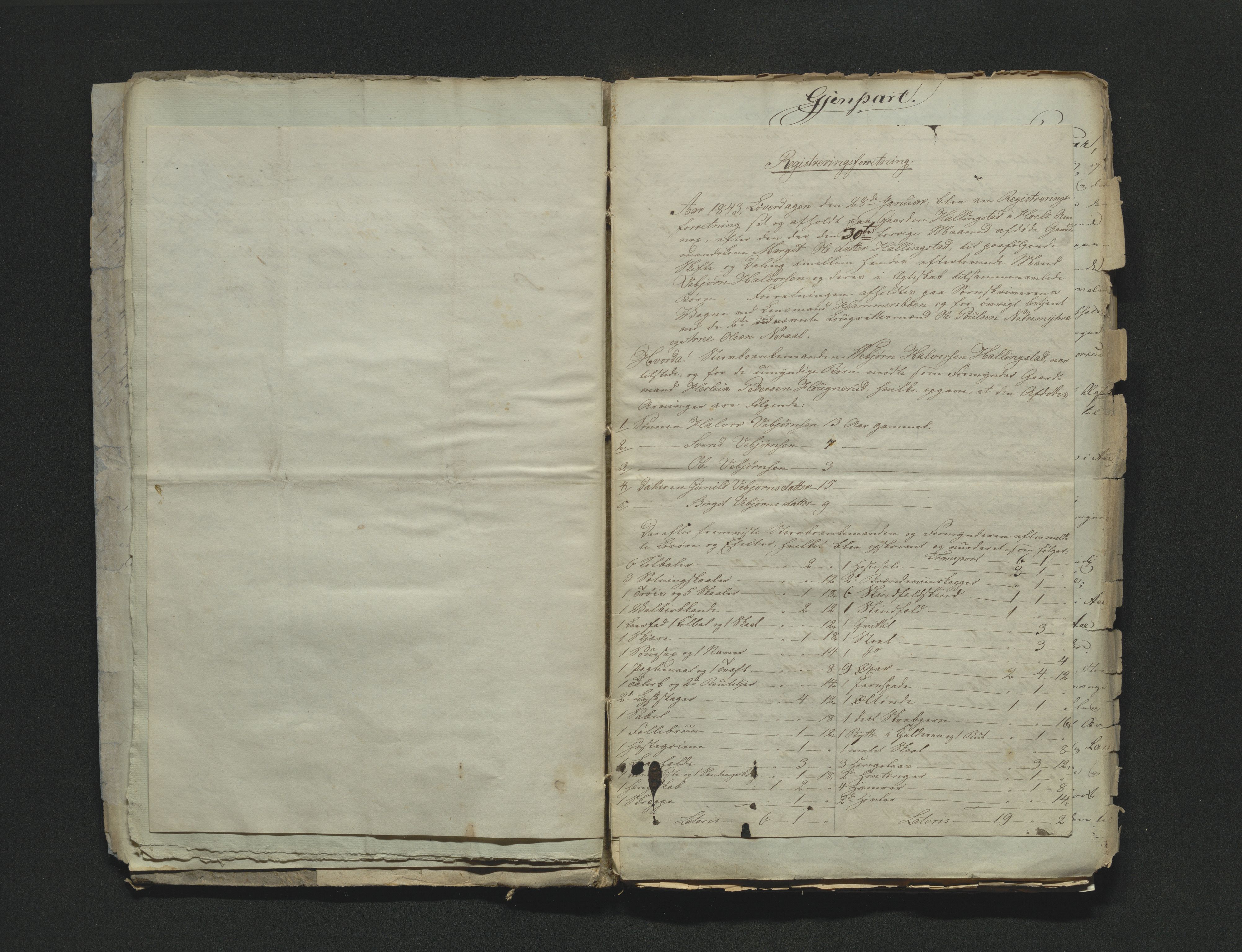 Hallingdal sorenskriveri, SAKO/A-121/H/Hb/Hbb/Hbba/L0016: Skifteregistreringsprotokoll, Sorenskriveriet, 1843