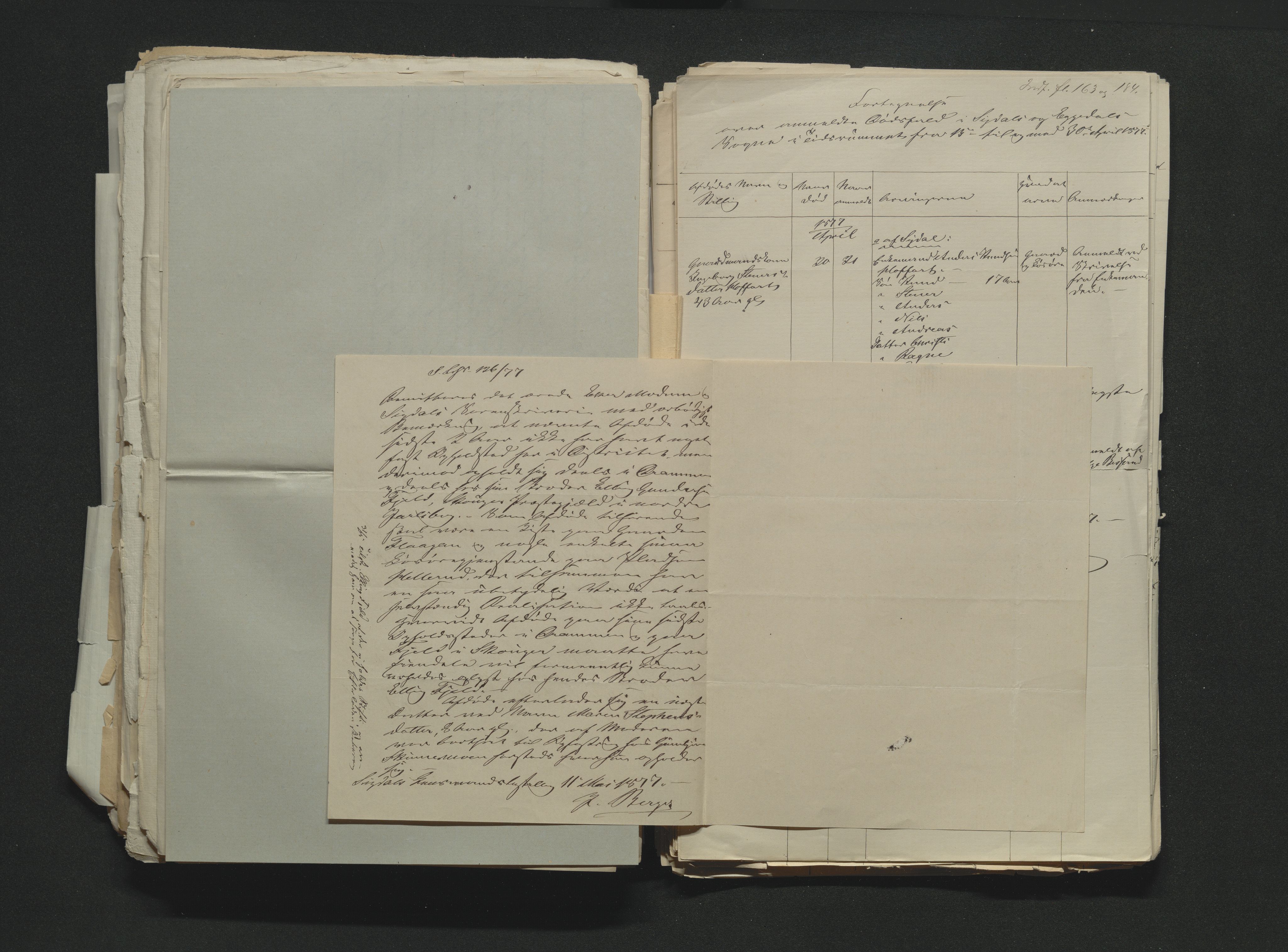 Eiker, Modum og Sigdal sorenskriveri, AV/SAKO-A-123/H/Ha/Hab/L0014: Dødsfallsmeldinger, 1874-1877, s. 711