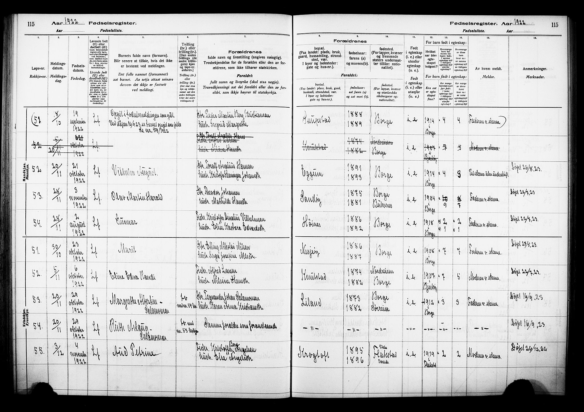 Ministerialprotokoller, klokkerbøker og fødselsregistre - Nordland, AV/SAT-A-1459/880/L1145: Fødselsregister nr. 880.II.4.1, 1916-1929, s. 115