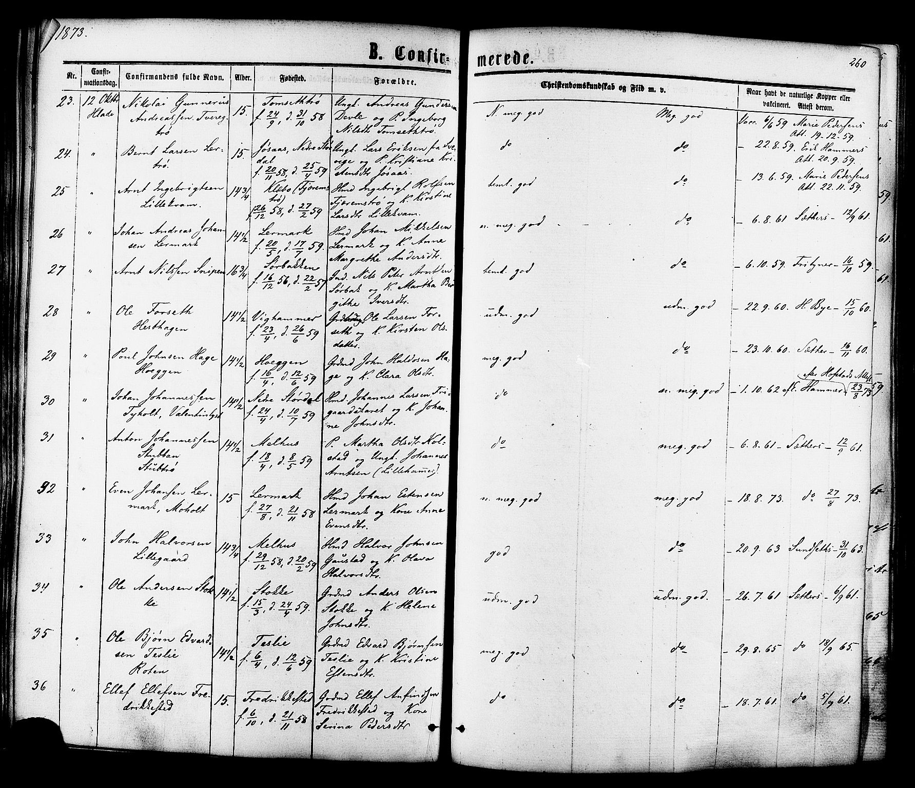 Ministerialprotokoller, klokkerbøker og fødselsregistre - Sør-Trøndelag, SAT/A-1456/606/L0293: Ministerialbok nr. 606A08, 1866-1877, s. 260