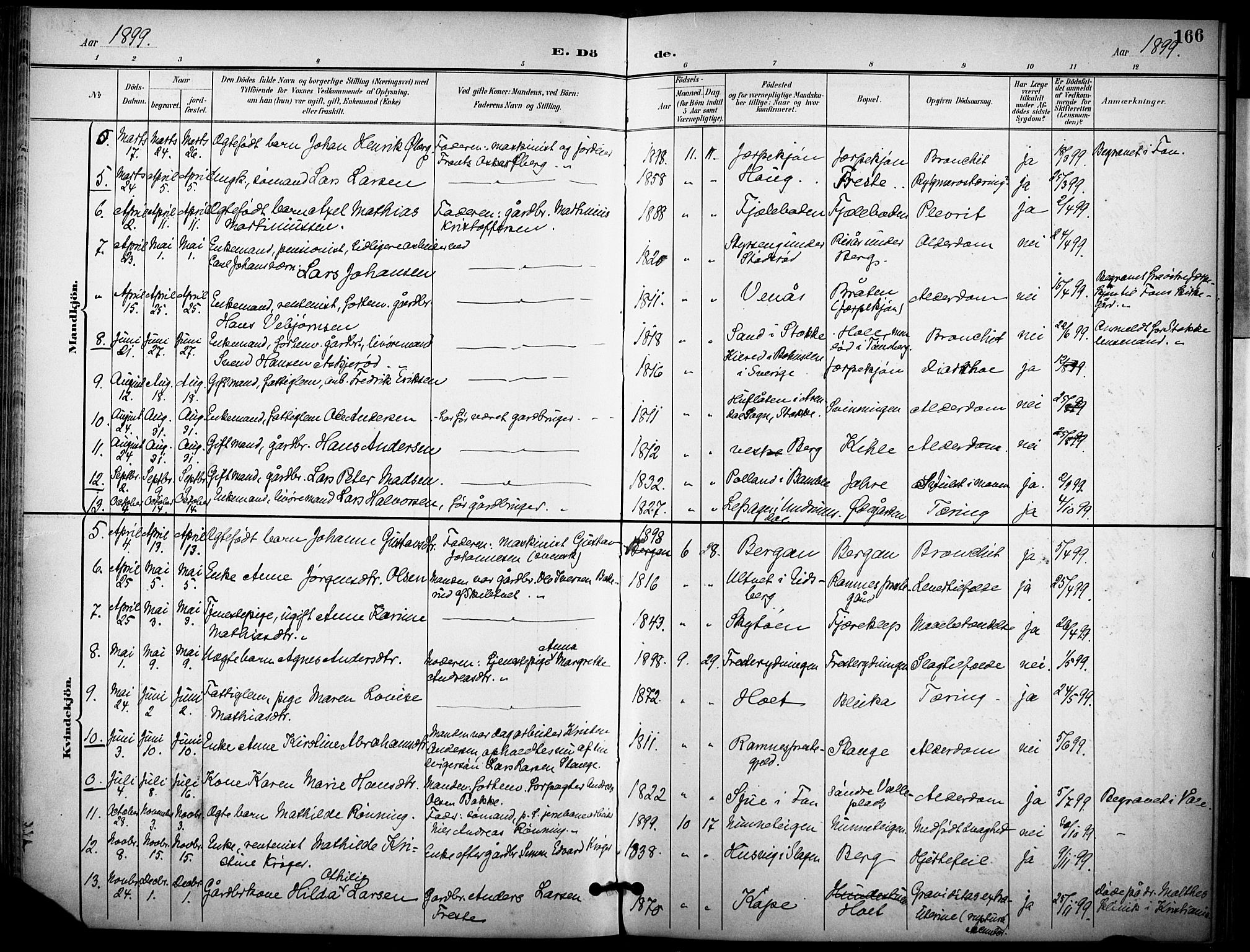 Ramnes kirkebøker, AV/SAKO-A-314/F/Fa/L0008: Ministerialbok nr. I 8, 1896-1913, s. 166