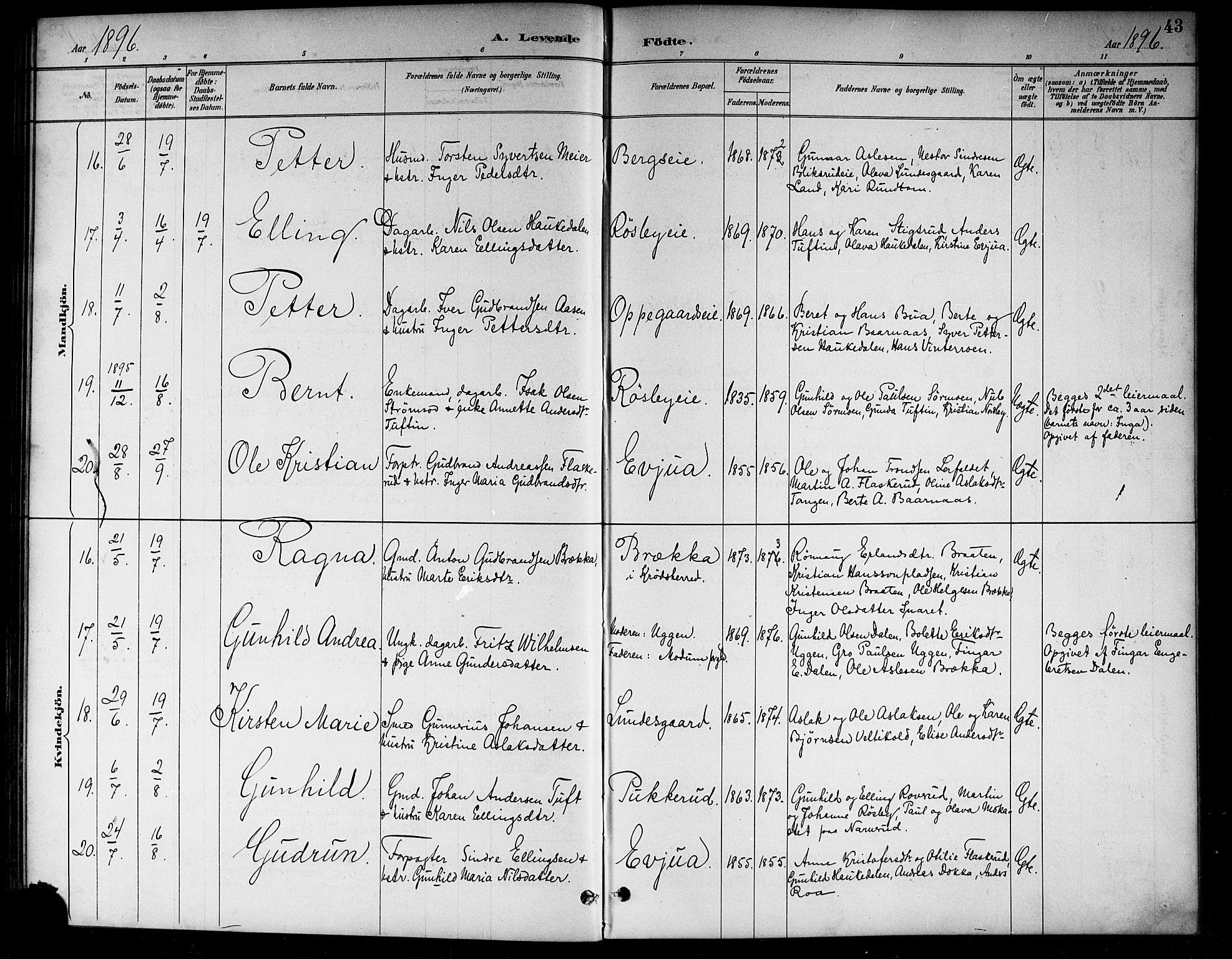 Lunder kirkebøker, AV/SAKO-A-629/G/Ga/L0004: Klokkerbok nr. I 4, 1889-1917, s. 43