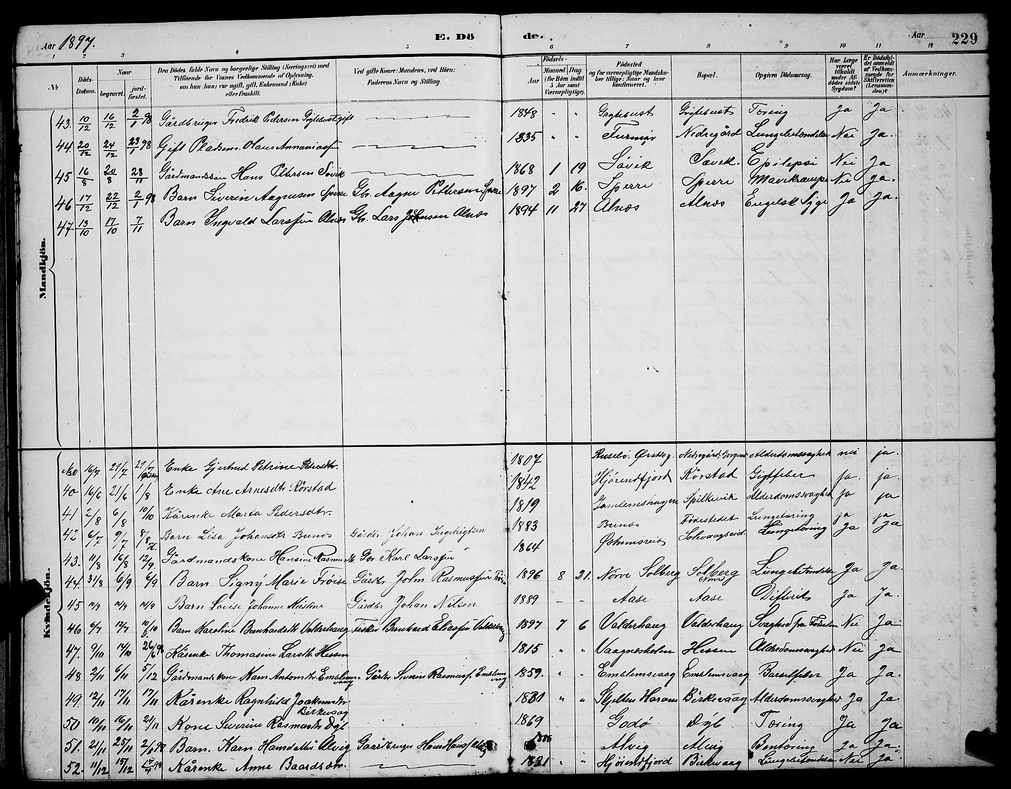 Ministerialprotokoller, klokkerbøker og fødselsregistre - Møre og Romsdal, AV/SAT-A-1454/528/L0430: Klokkerbok nr. 528C11, 1884-1899, s. 229