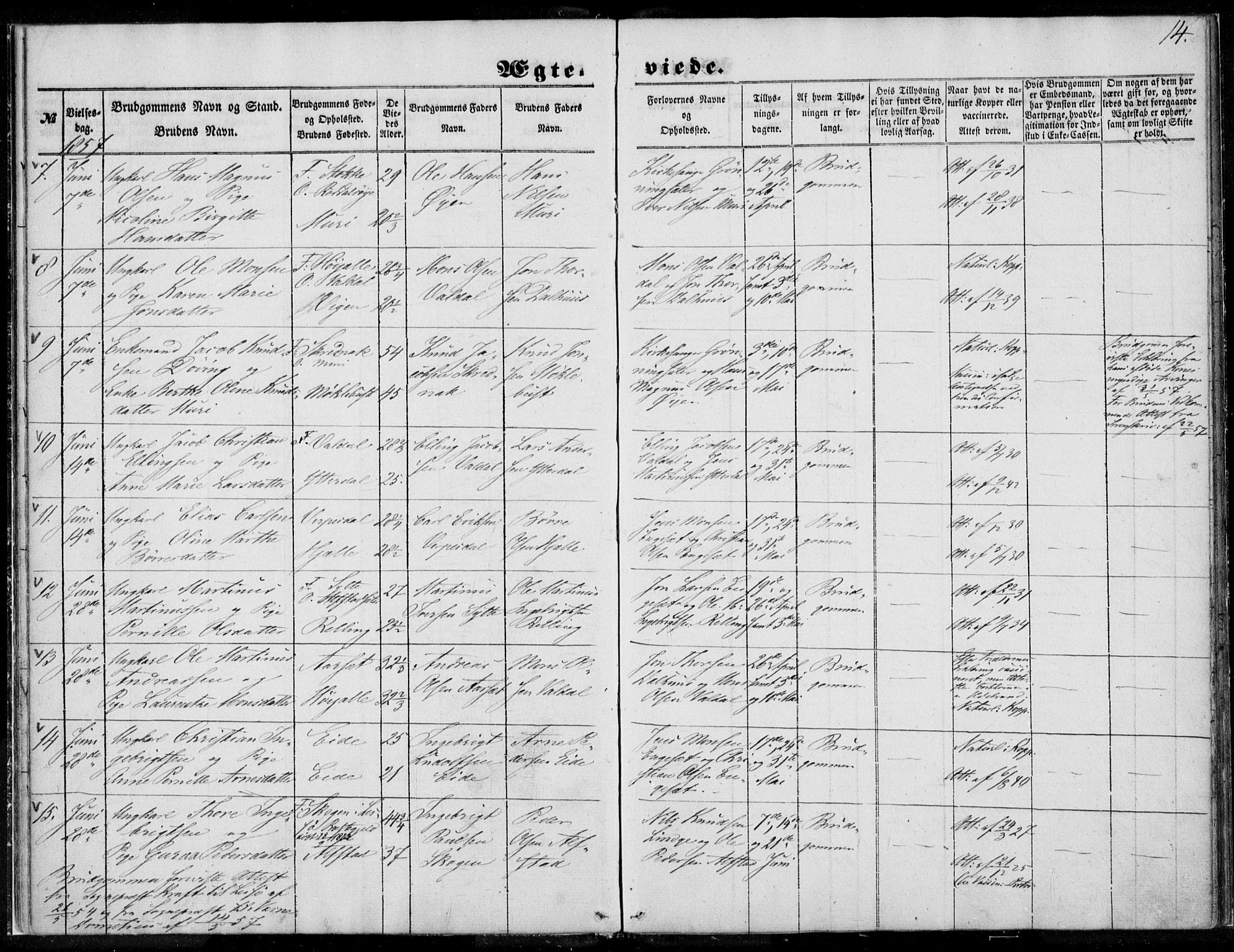 Ministerialprotokoller, klokkerbøker og fødselsregistre - Møre og Romsdal, AV/SAT-A-1454/519/L0250: Ministerialbok nr. 519A09, 1850-1868, s. 14