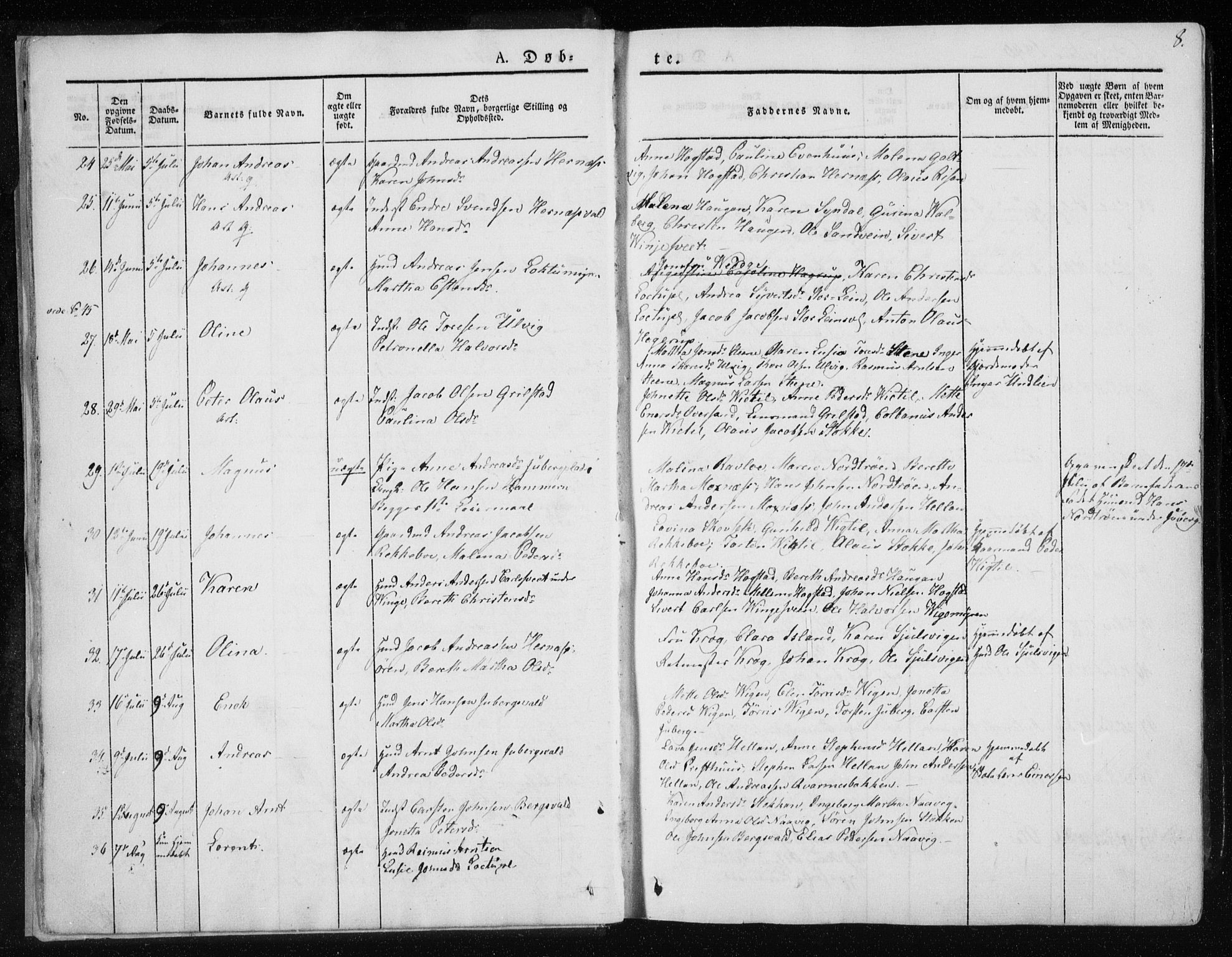 Ministerialprotokoller, klokkerbøker og fødselsregistre - Nord-Trøndelag, SAT/A-1458/713/L0115: Ministerialbok nr. 713A06, 1838-1851, s. 8