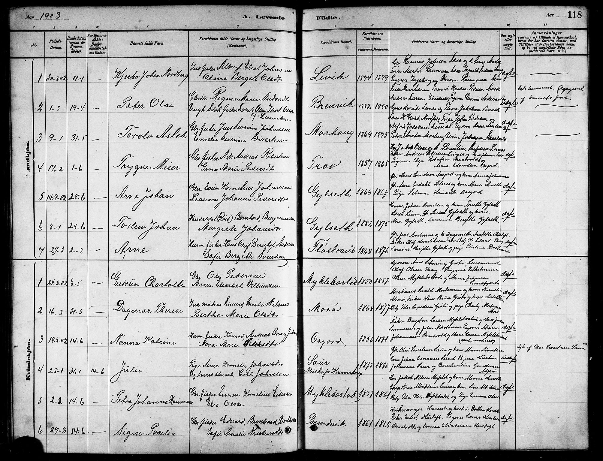 Ministerialprotokoller, klokkerbøker og fødselsregistre - Nordland, AV/SAT-A-1459/857/L0828: Klokkerbok nr. 857C03, 1879-1908, s. 118