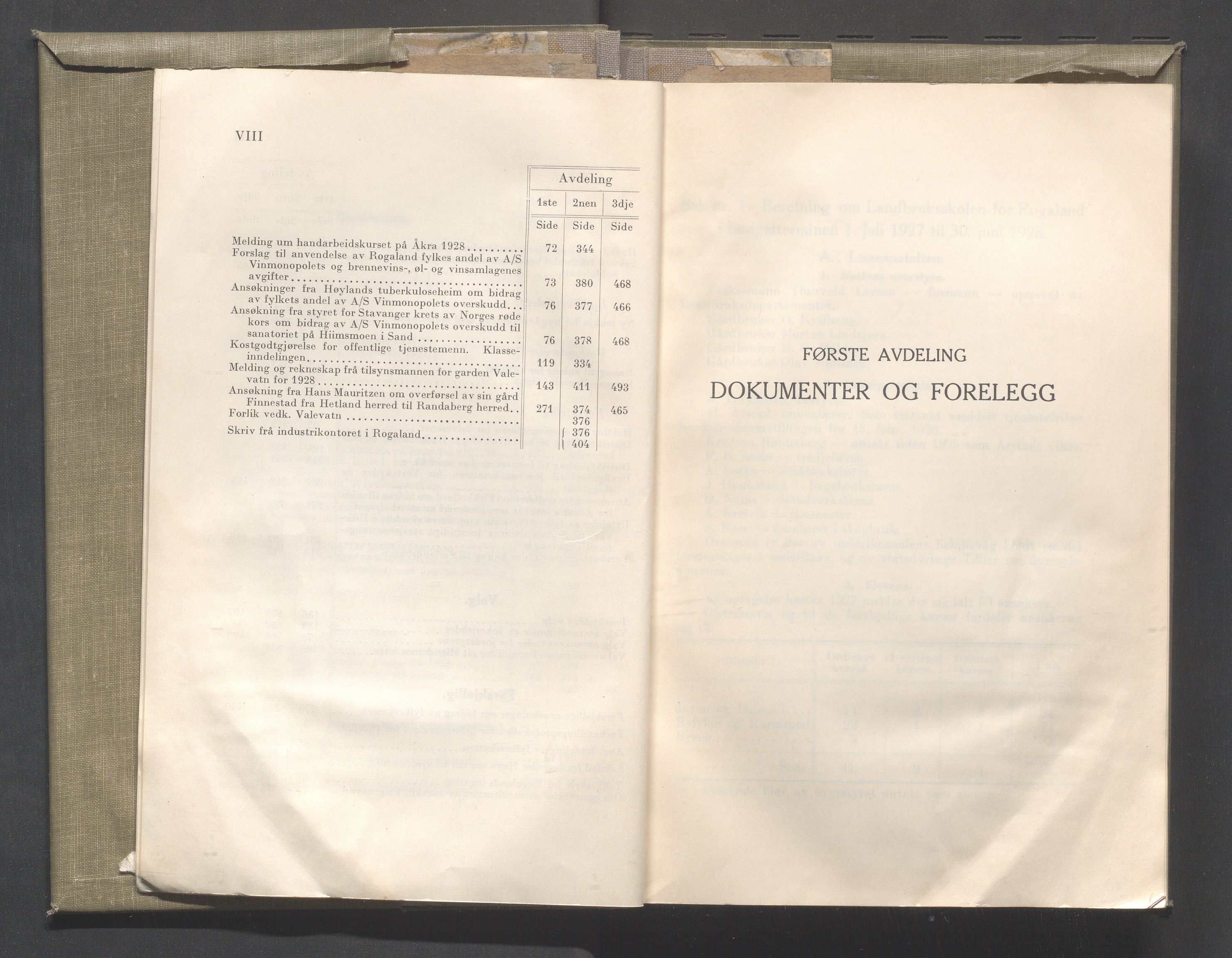 Rogaland fylkeskommune - Fylkesrådmannen , IKAR/A-900/A/Aa/Aaa/L0048: Møtebok , 1929, s. VIII-1