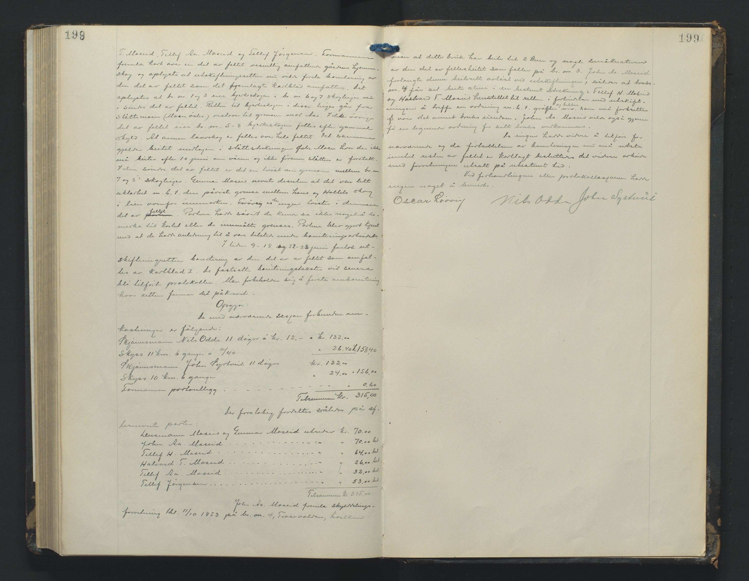 Utskiftningsformannen i Nedenes amt, AV/SAK-1541-0002/F/Fa/Fac/L0003: Jordskifteprotokoll med register, Setesdal domssokn nr 3, 1922-1927, s. 199