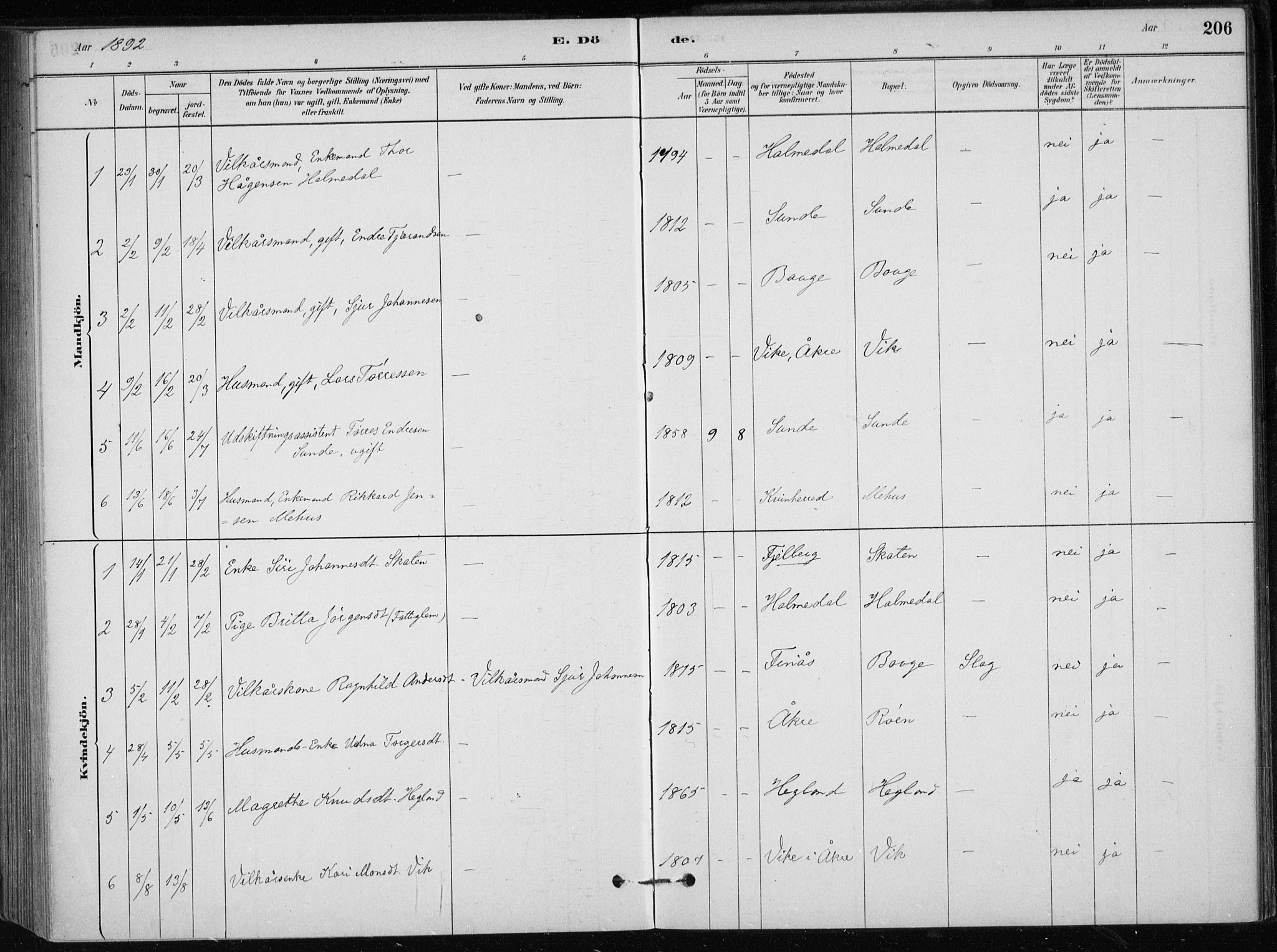 Skånevik sokneprestembete, AV/SAB-A-77801/H/Haa: Ministerialbok nr. C  1, 1879-1917, s. 206