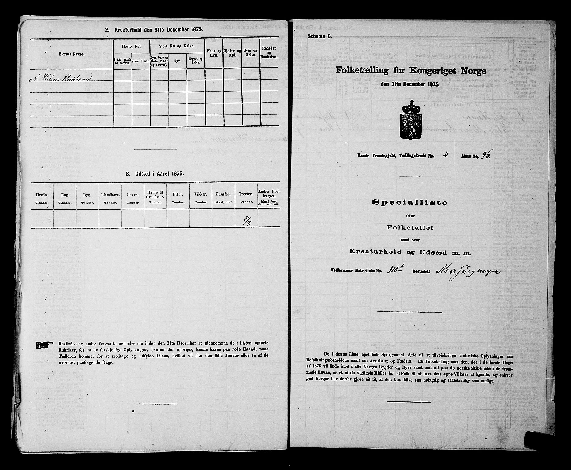 RA, Folketelling 1875 for 0135P Råde prestegjeld, 1875, s. 977