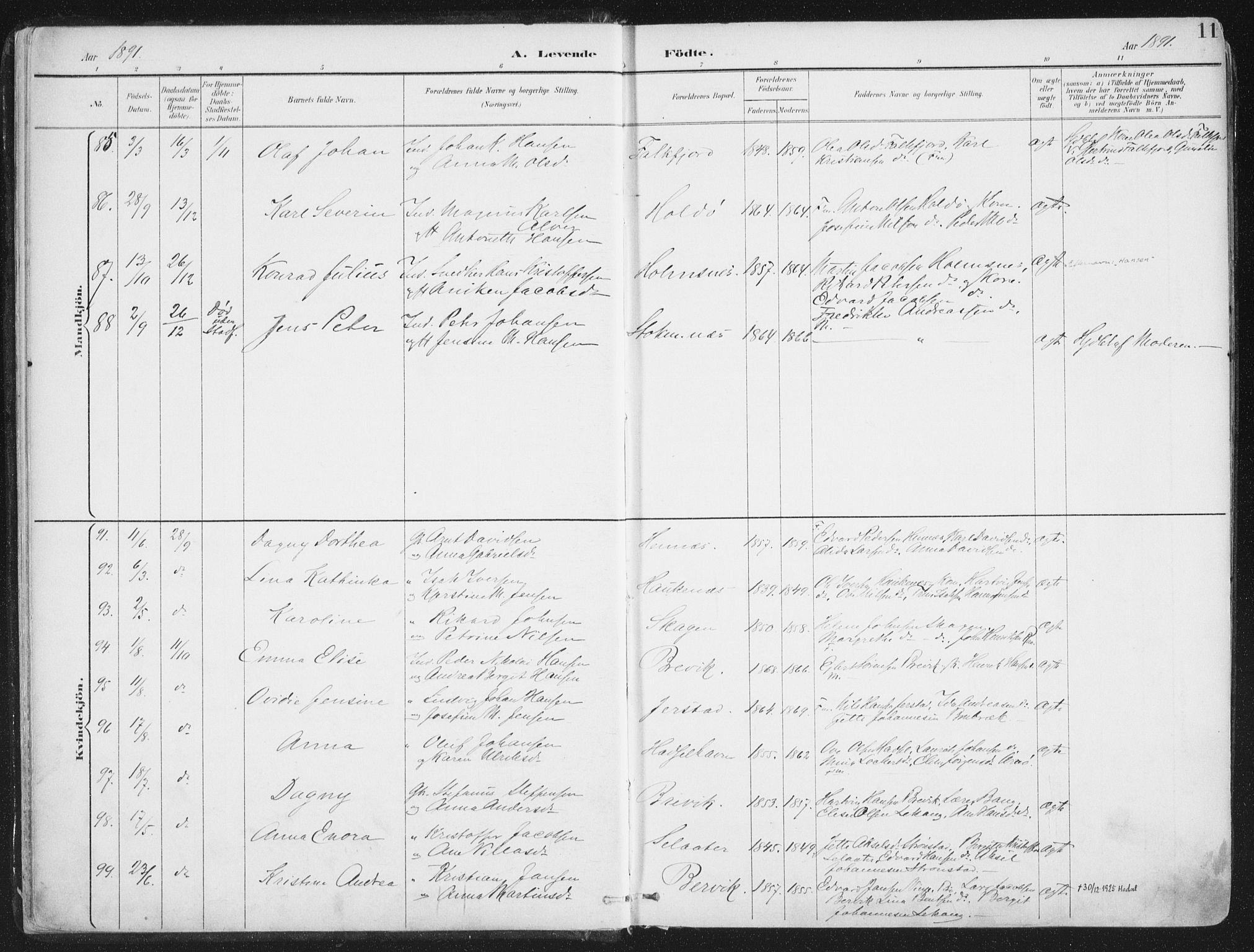 Ministerialprotokoller, klokkerbøker og fødselsregistre - Nordland, SAT/A-1459/888/L1246: Ministerialbok nr. 888A12, 1891-1903, s. 11