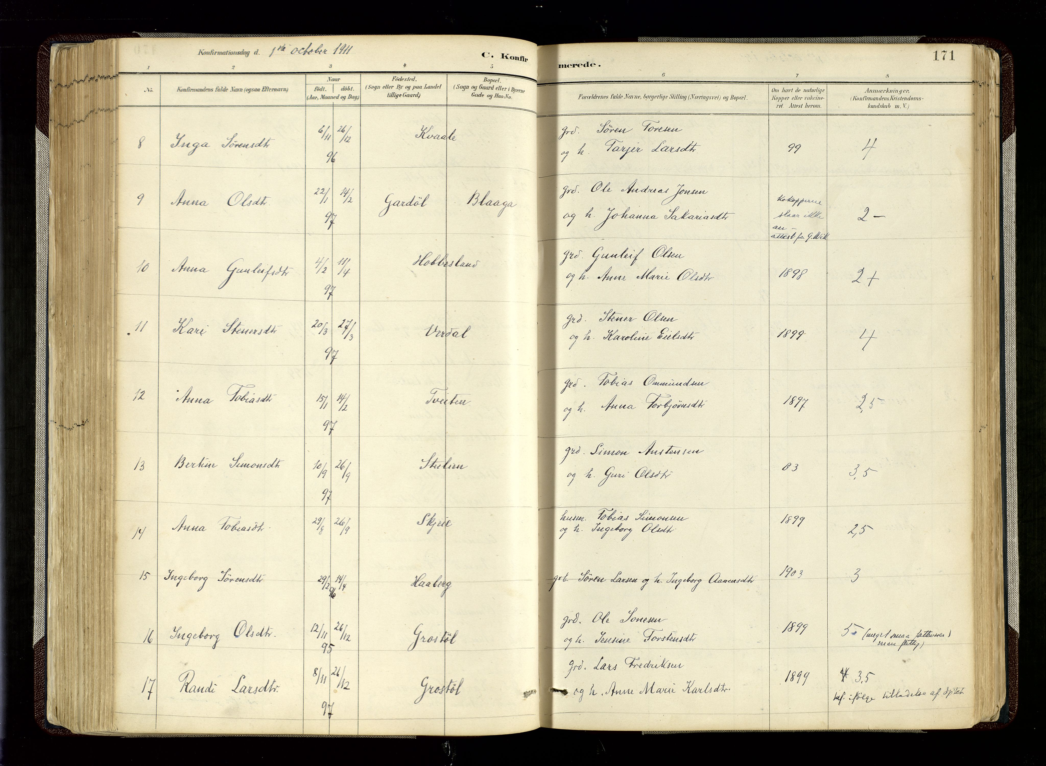 Hægebostad sokneprestkontor, AV/SAK-1111-0024/F/Fa/Fab/L0004: Ministerialbok nr. A 4, 1887-1929, s. 171