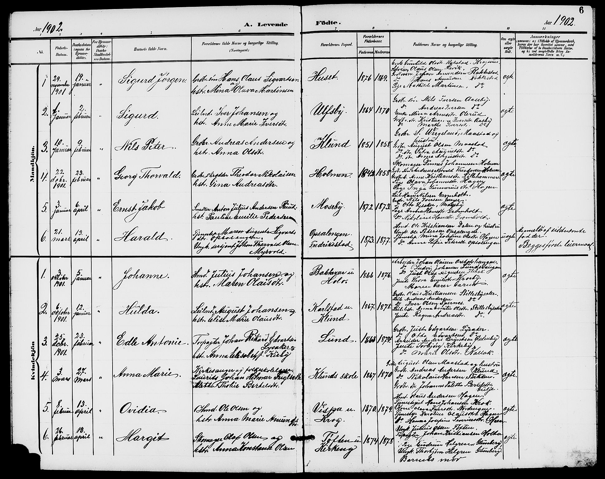 Rødenes prestekontor Kirkebøker, AV/SAO-A-2005/G/Ga/L0002: Klokkerbok nr. I 2, 1901-1910, s. 6