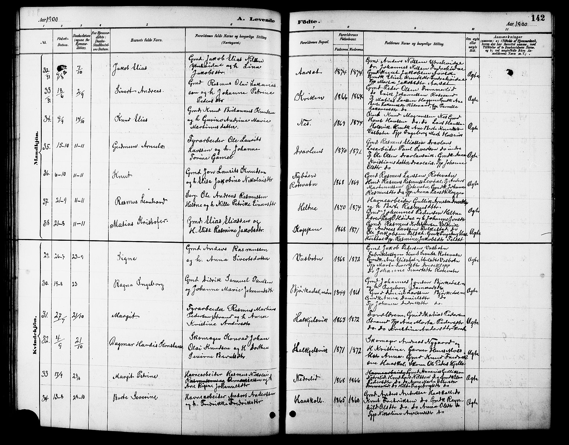 Ministerialprotokoller, klokkerbøker og fødselsregistre - Møre og Romsdal, AV/SAT-A-1454/511/L0158: Klokkerbok nr. 511C04, 1884-1903, s. 142