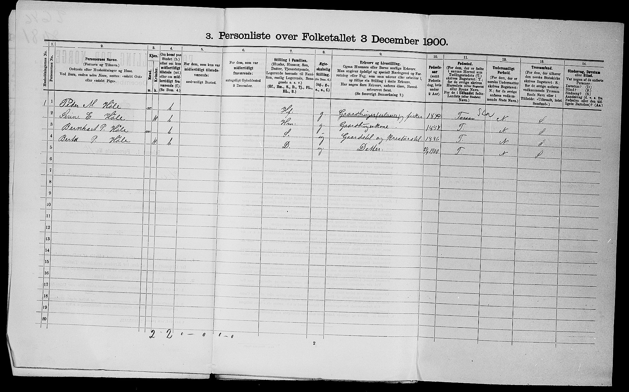 SAST, Folketelling 1900 for 1128 Høle herred, 1900, s. 30