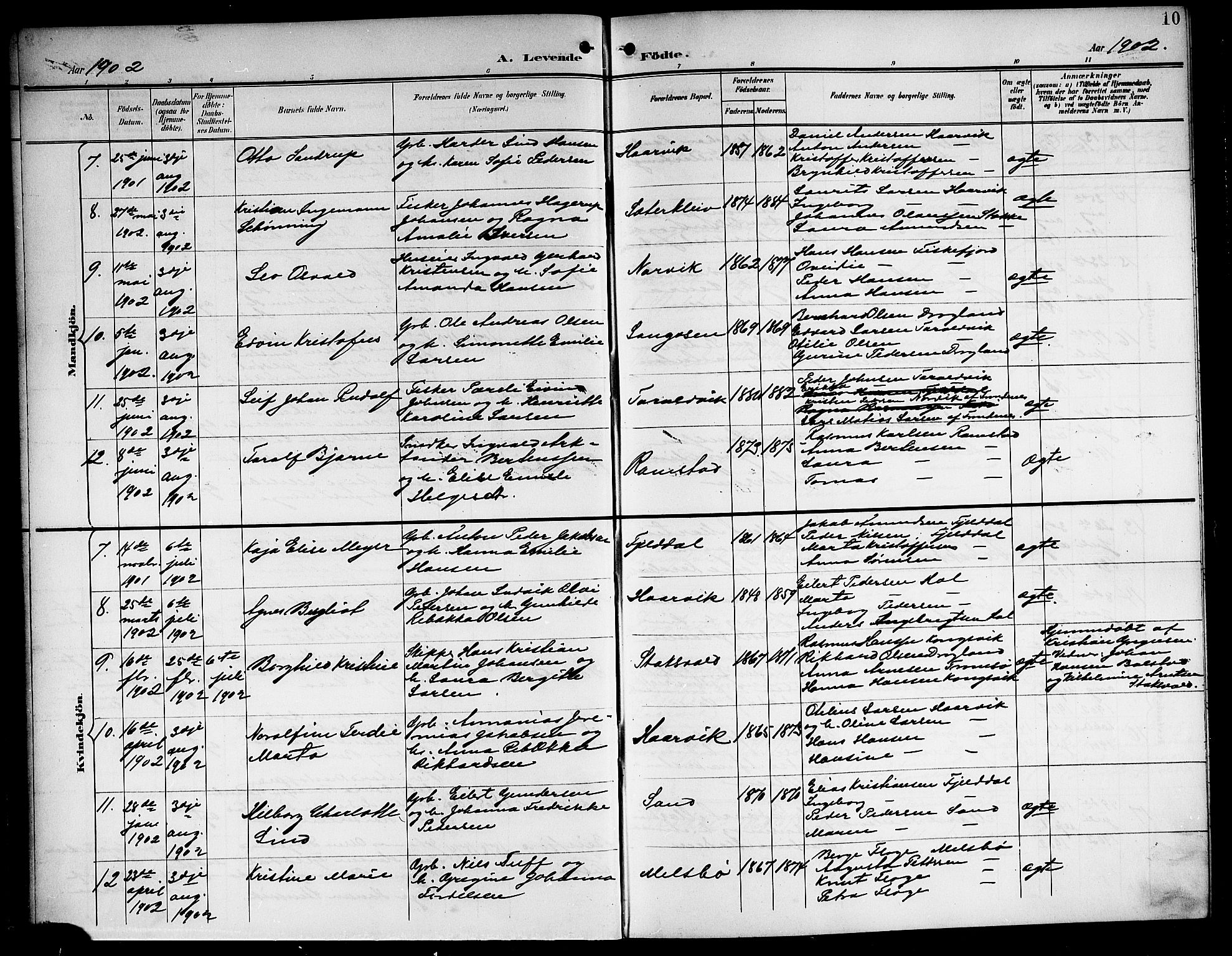 Ministerialprotokoller, klokkerbøker og fødselsregistre - Nordland, AV/SAT-A-1459/865/L0932: Klokkerbok nr. 865C04, 1901-1917, s. 10