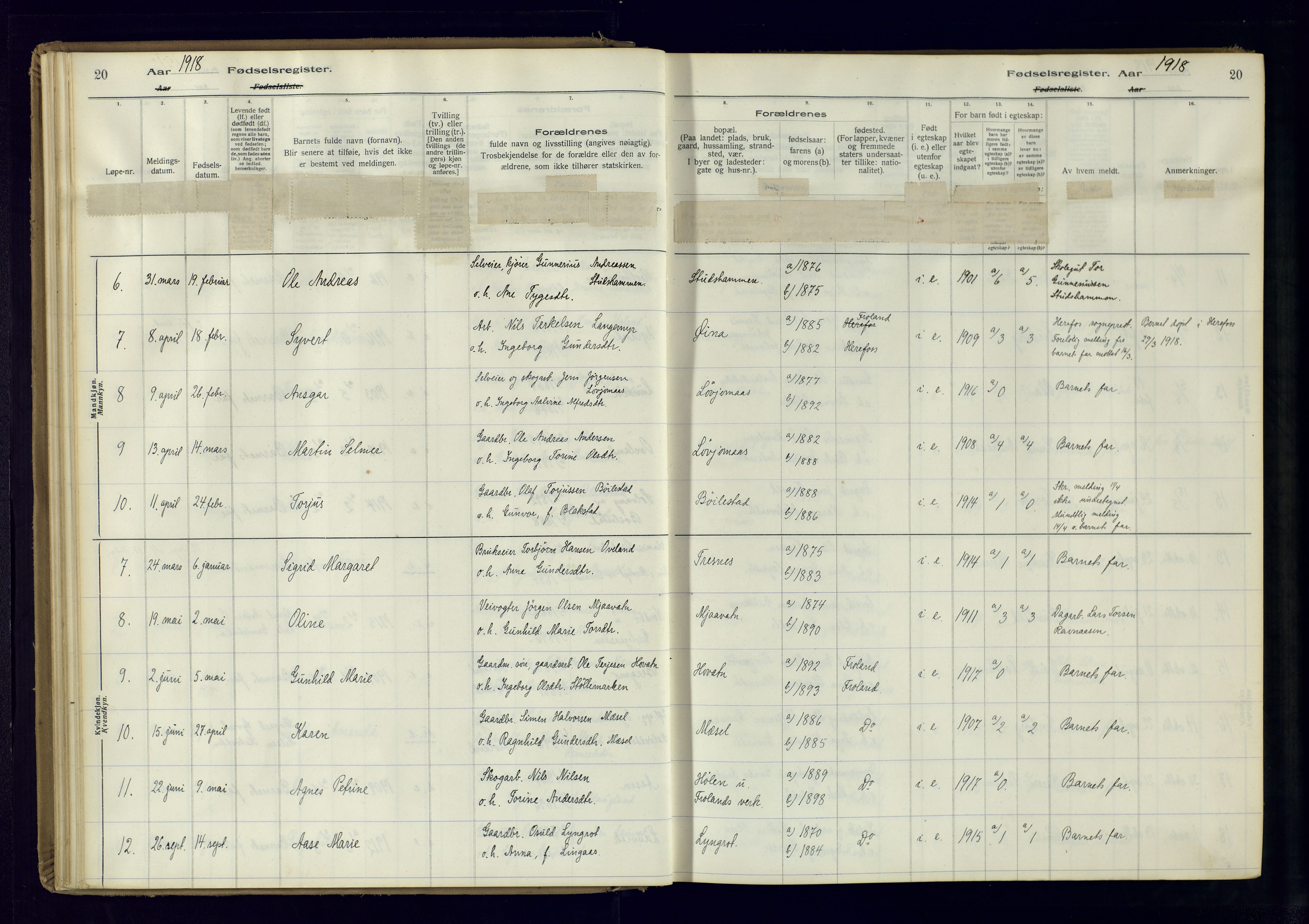 Froland sokneprestkontor, AV/SAK-1111-0013/J/Ja/L0001: Fødselsregister nr. 1, 1916-1950, s. 20