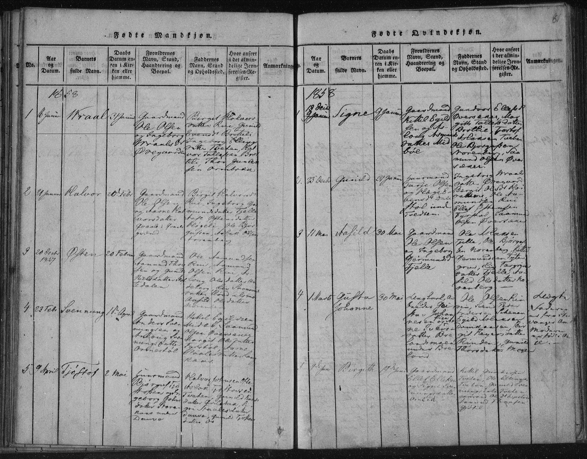 Lårdal kirkebøker, SAKO/A-284/F/Fc/L0001: Ministerialbok nr. III 1, 1815-1860, s. 81