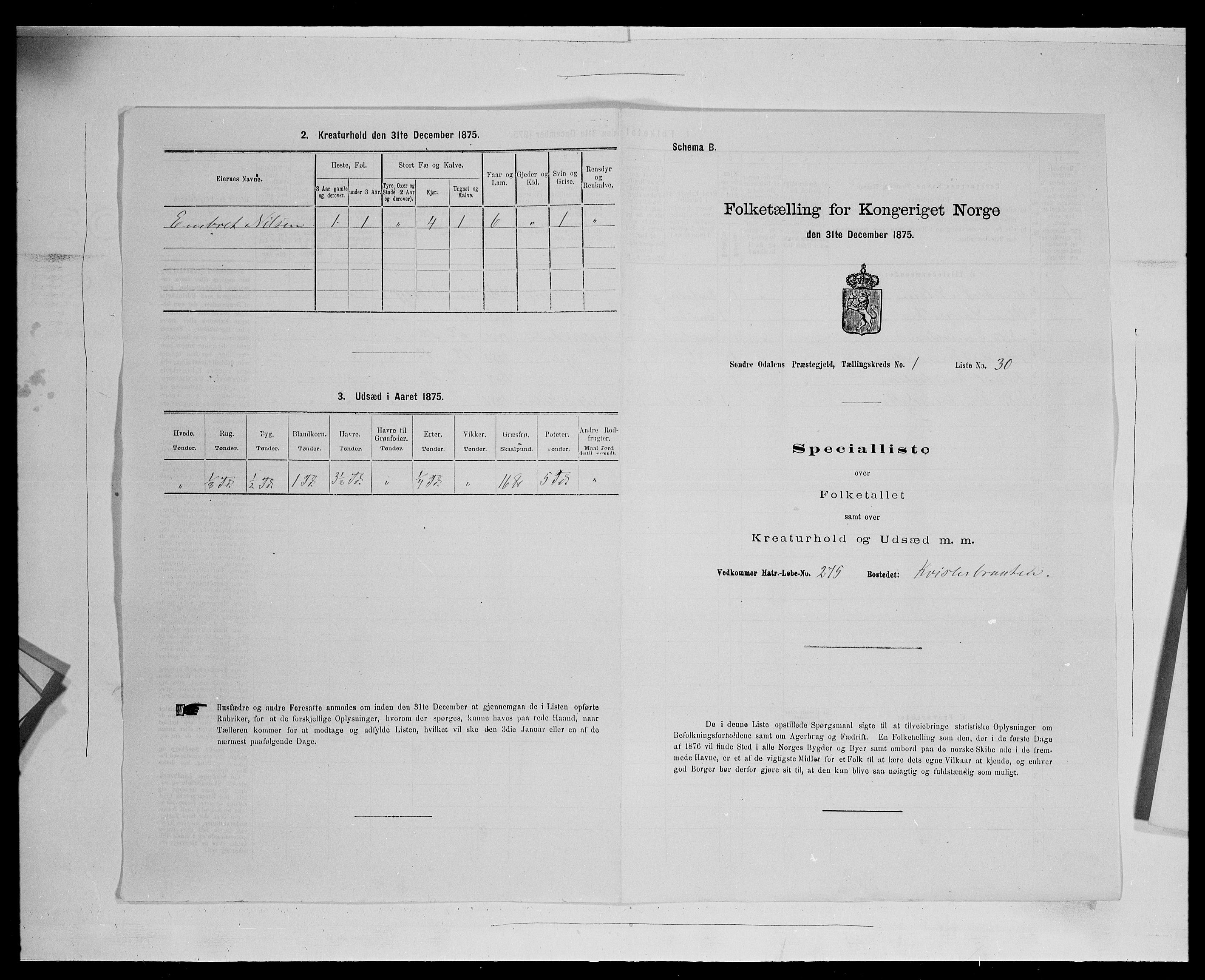 SAH, Folketelling 1875 for 0419P Sør-Odal prestegjeld, 1875, s. 193