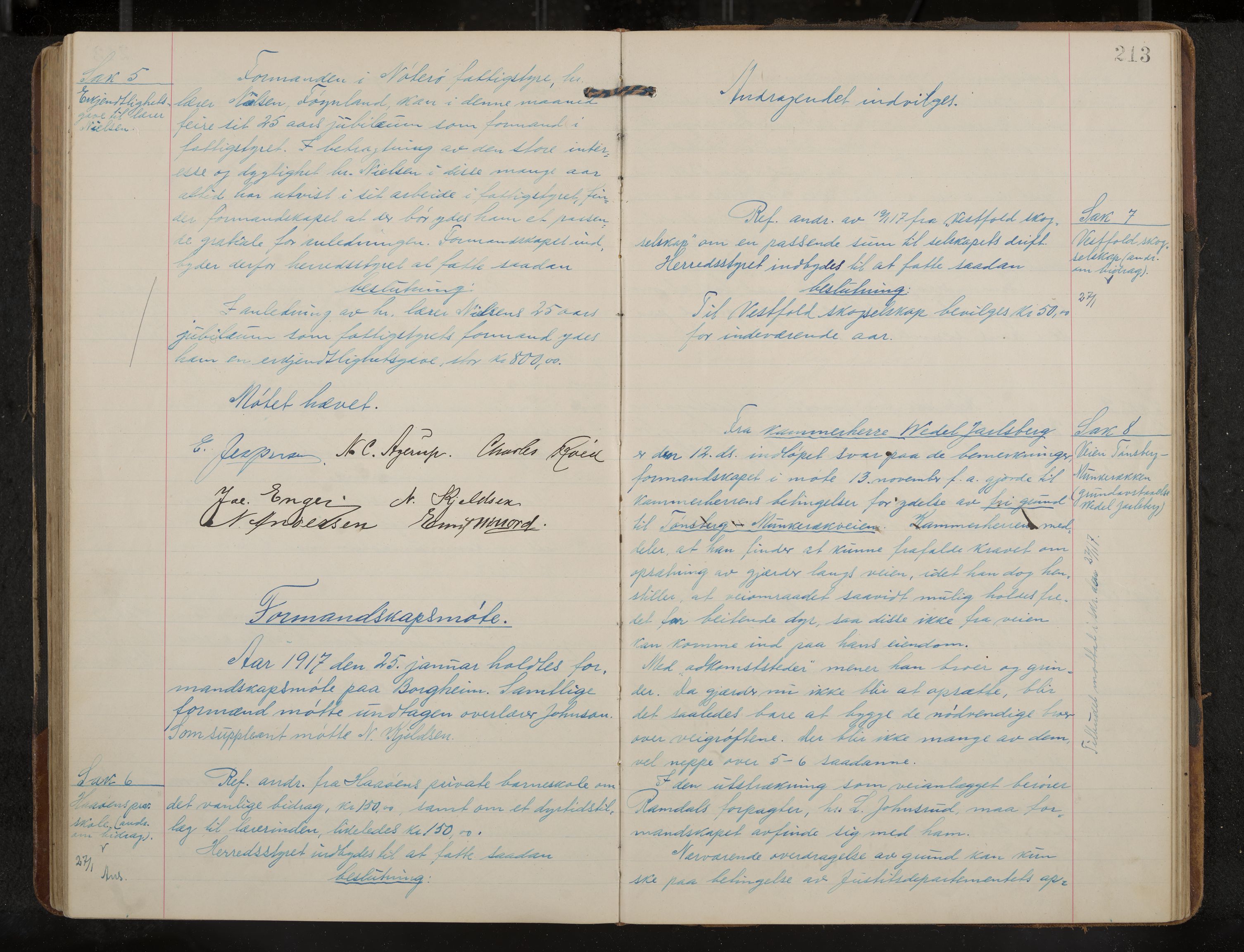 Nøtterøy formannskap og sentraladministrasjon, IKAK/0722021-1/A/Aa/L0007: Møtebok med register, 1913-1917, s. 213