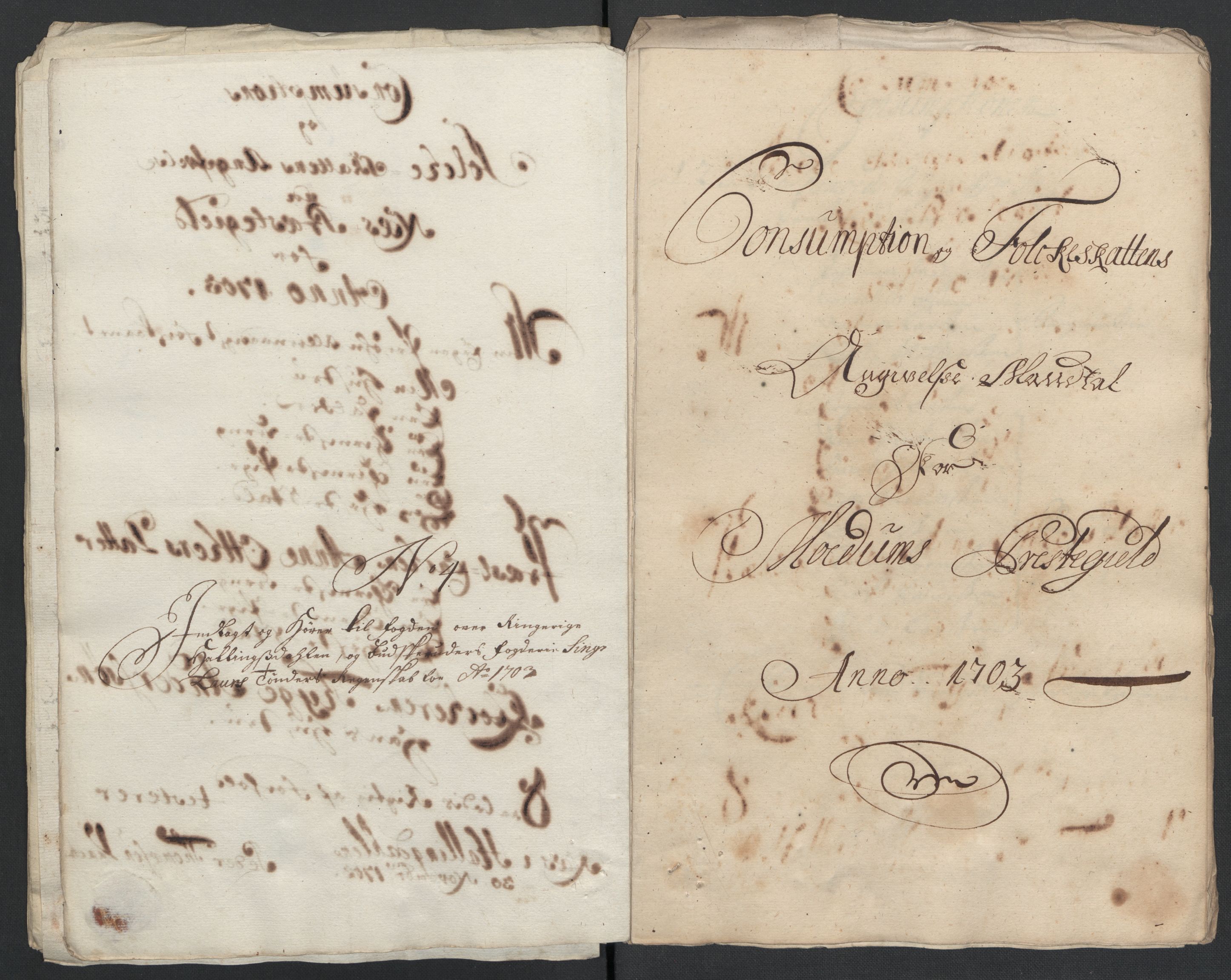 Rentekammeret inntil 1814, Reviderte regnskaper, Fogderegnskap, AV/RA-EA-4092/R22/L1461: Fogderegnskap Ringerike, Hallingdal og Buskerud, 1703, s. 226