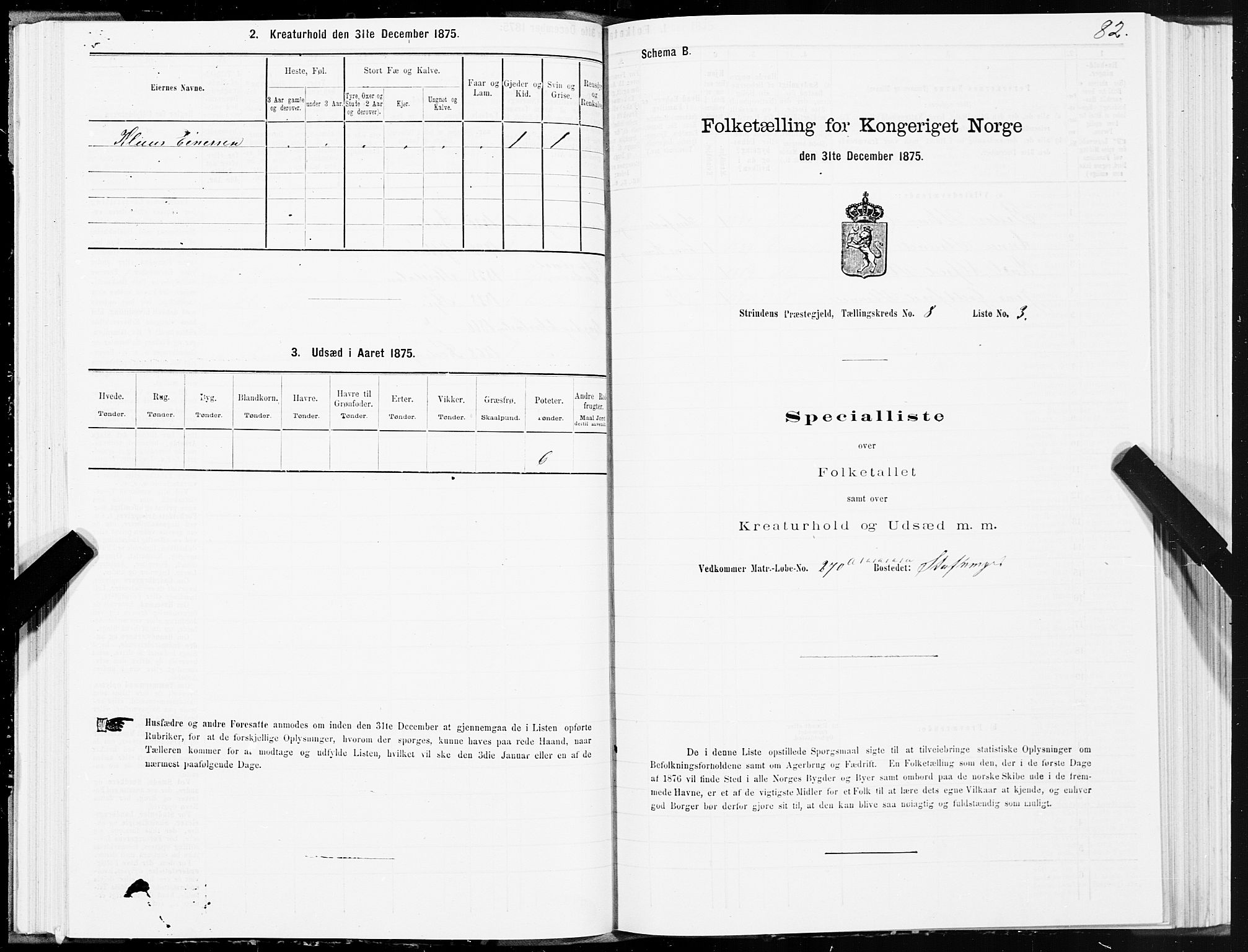 SAT, Folketelling 1875 for 1660P Strinda prestegjeld, 1875, s. 4082