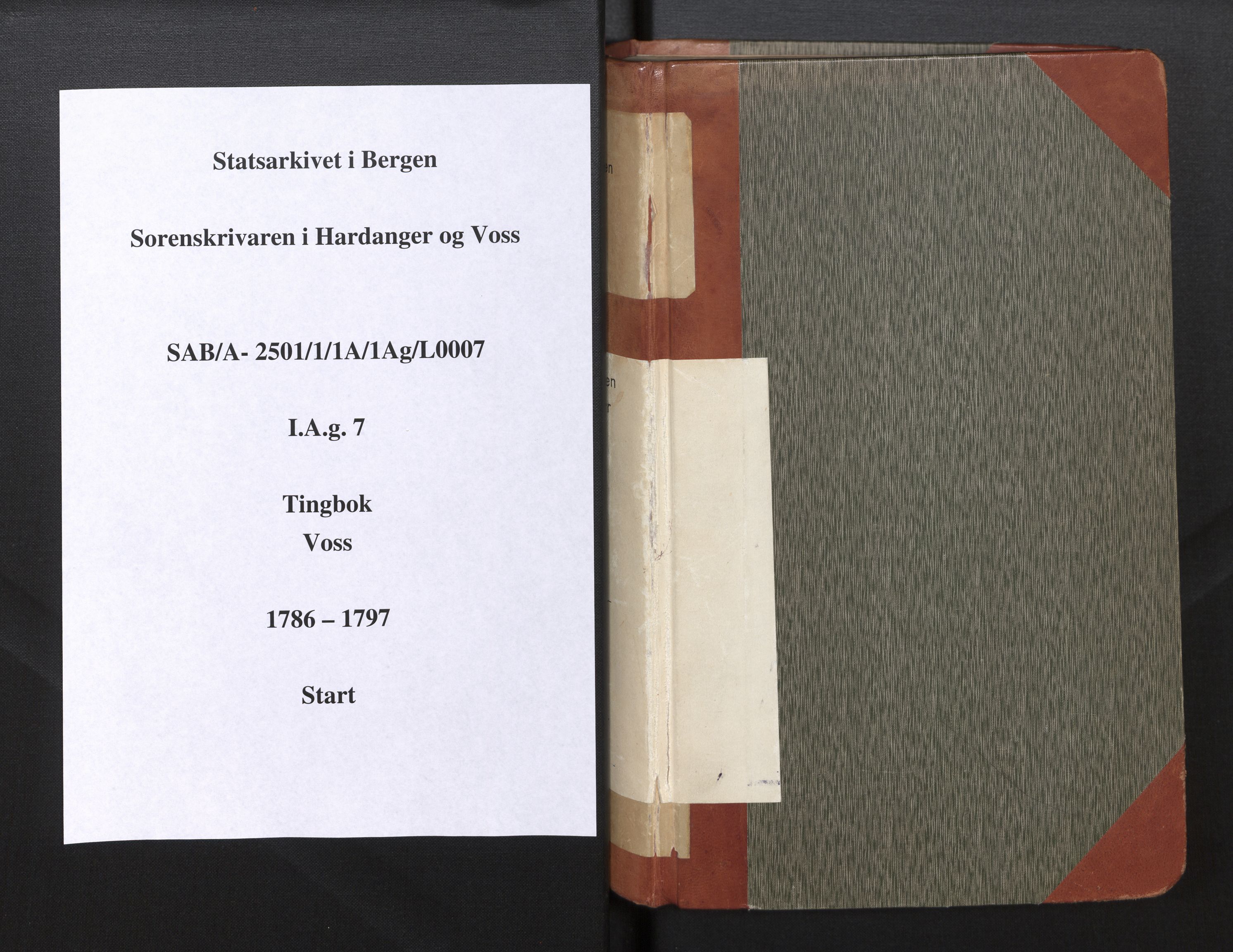Hardanger og Voss sorenskriveri, SAB/A-2501/1/1A/1Ag/L0007: Tingbok for Voss, 1786-1797