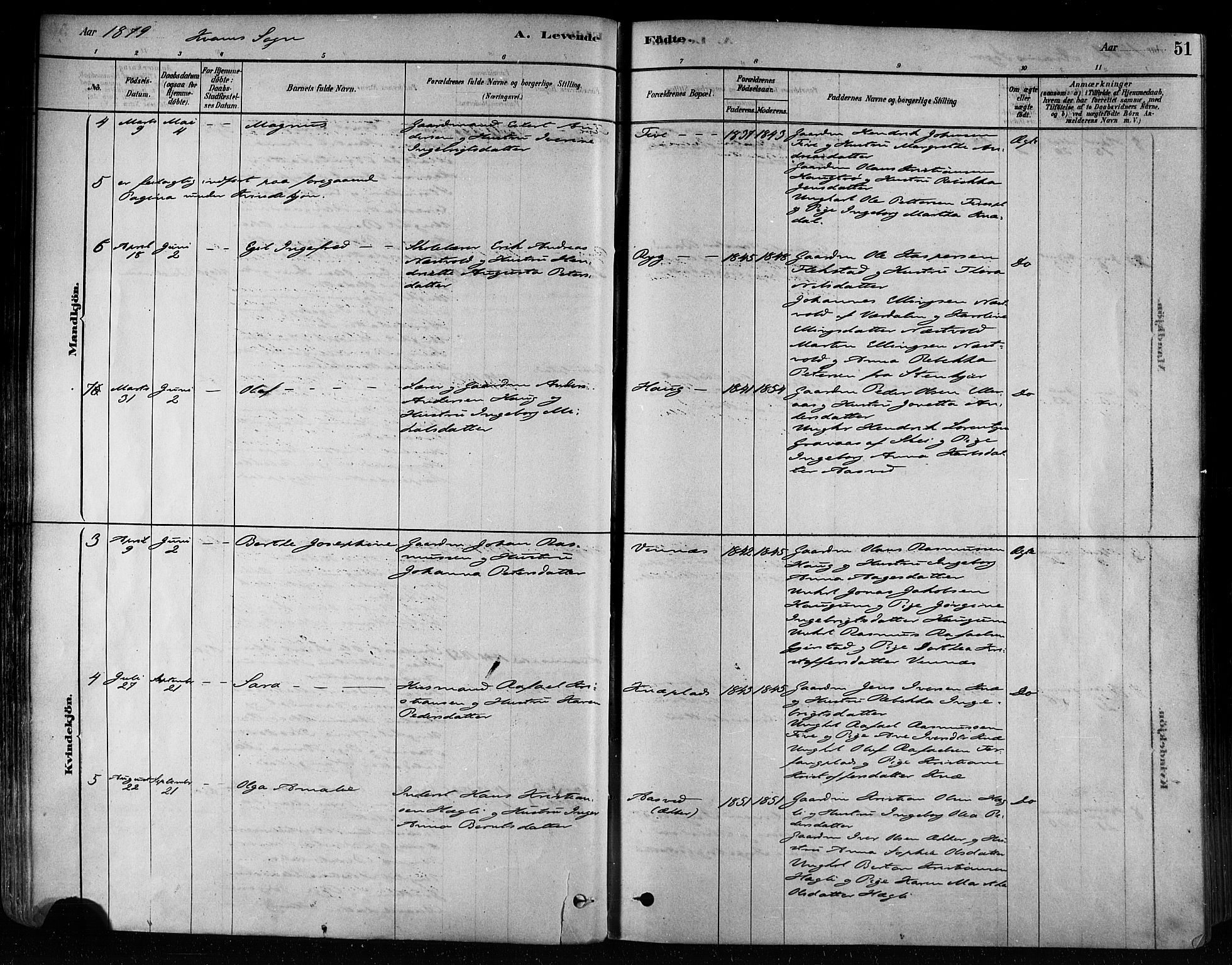 Ministerialprotokoller, klokkerbøker og fødselsregistre - Nord-Trøndelag, SAT/A-1458/746/L0449: Ministerialbok nr. 746A07 /2, 1878-1899, s. 51