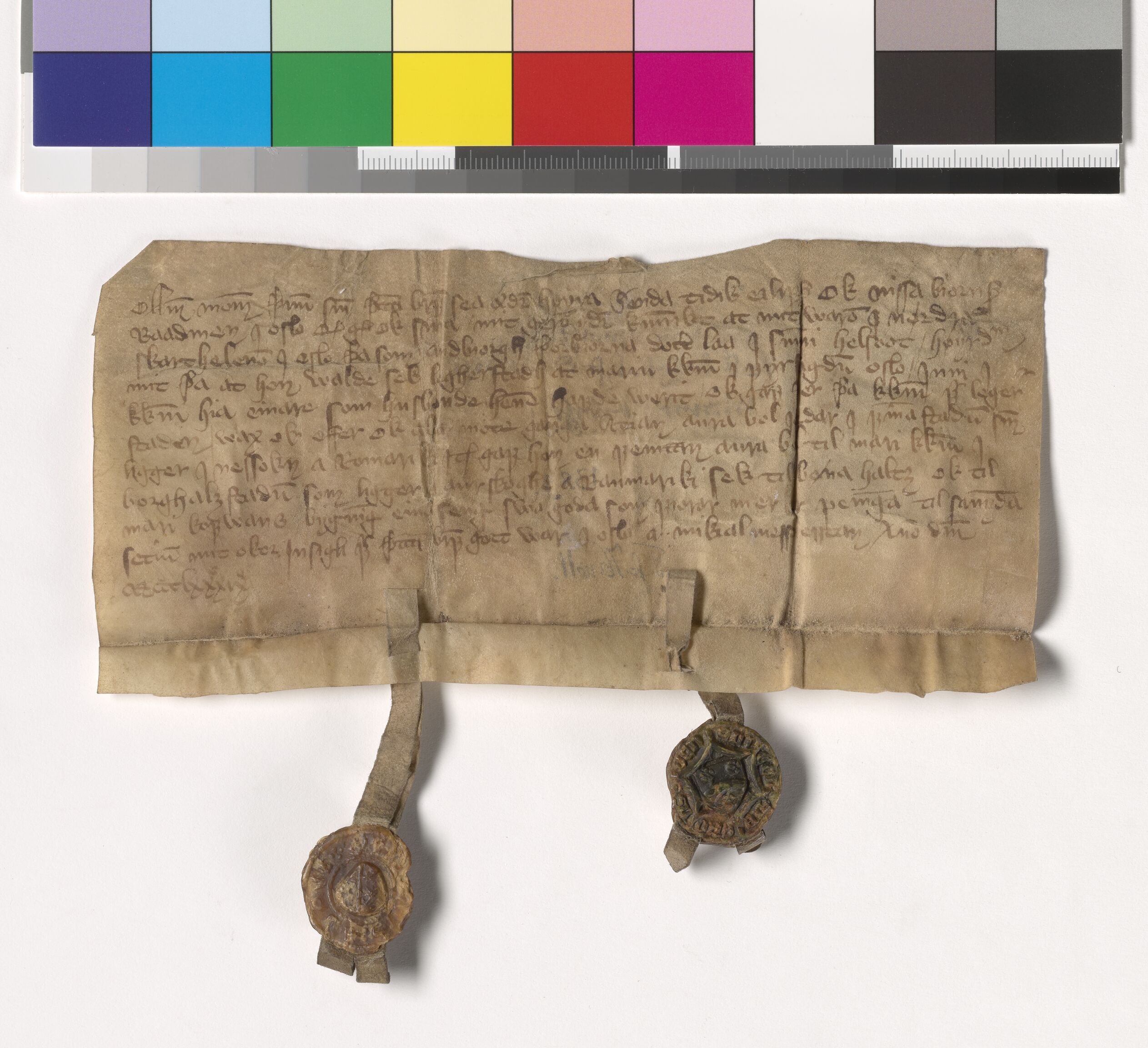 Riksarkivets diplomsamling, AV/RA-EA-5965/F05/L0187: NRA AM fasc. 75 nr. 20 - fasc. 76 nr. 12, 1388-1389, s. 9