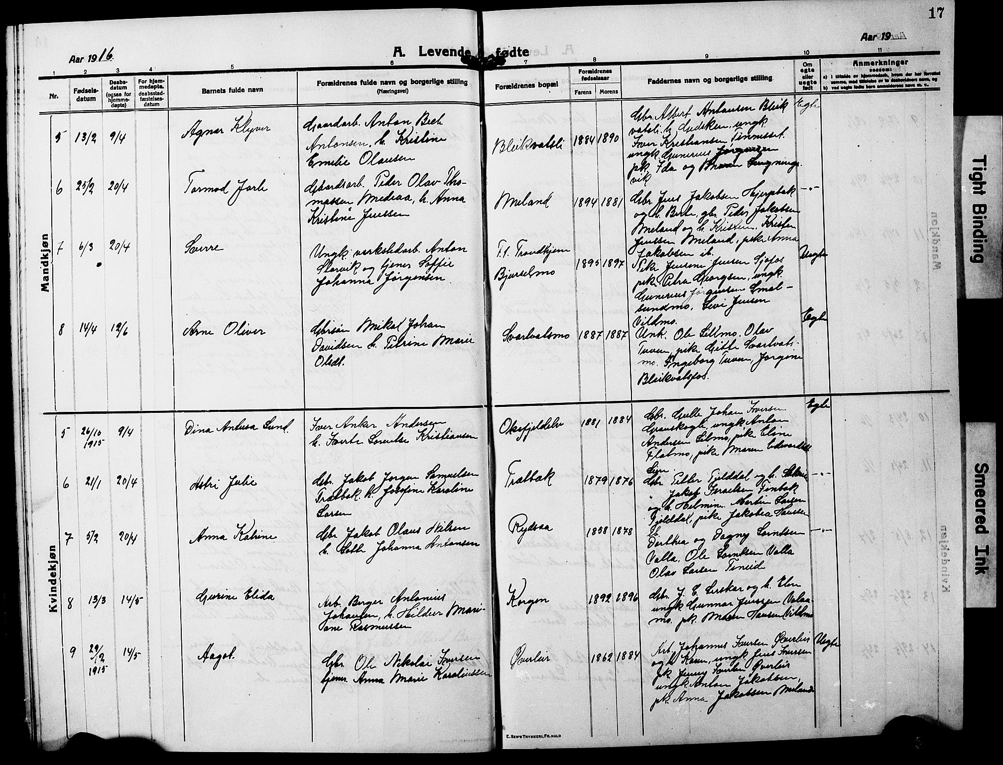 Ministerialprotokoller, klokkerbøker og fødselsregistre - Nordland, AV/SAT-A-1459/826/L0384: Klokkerbok nr. 826C04, 1914-1917, s. 17