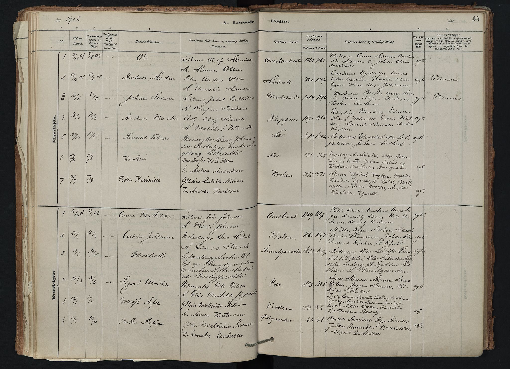 Brunlanes kirkebøker, SAKO/A-342/F/Fd/L0001: Ministerialbok nr. IV 1, 1878-1917, s. 35