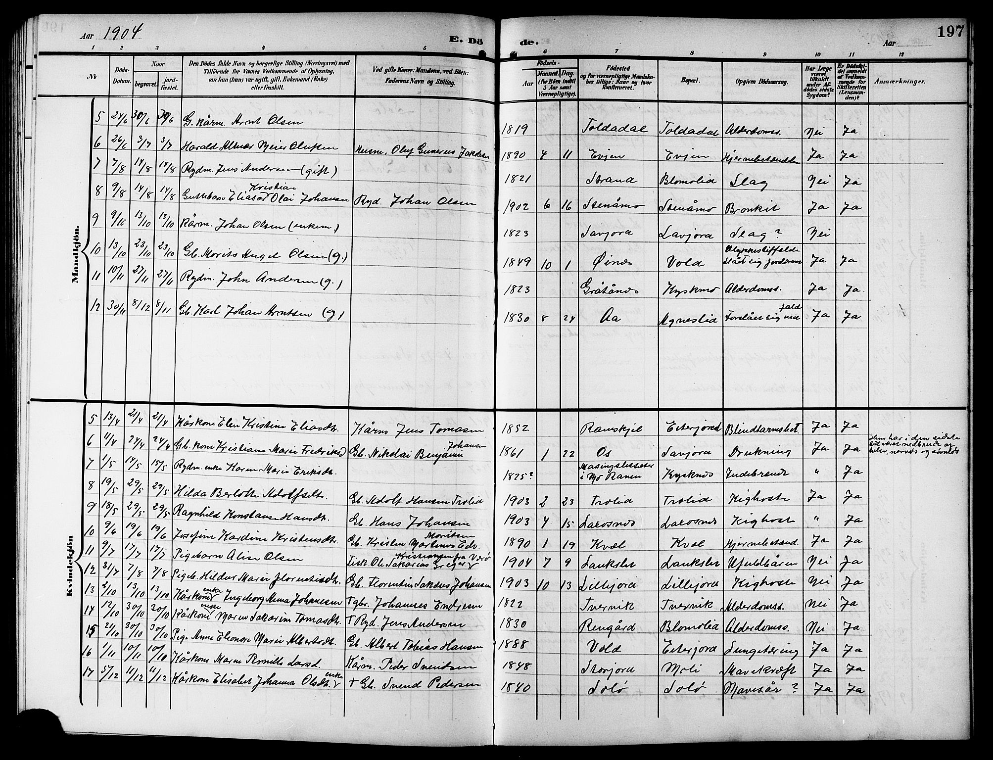 Ministerialprotokoller, klokkerbøker og fødselsregistre - Nordland, AV/SAT-A-1459/846/L0655: Klokkerbok nr. 846C05, 1902-1916, s. 197