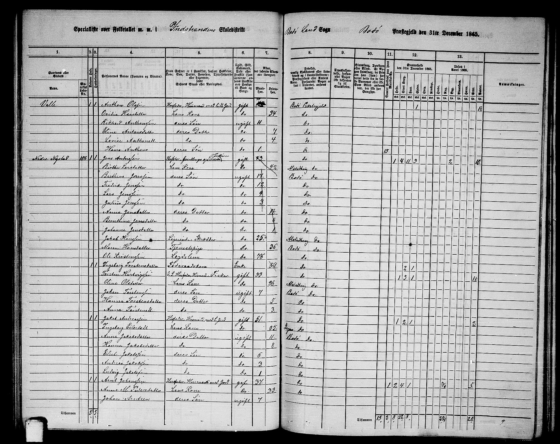 RA, Folketelling 1865 for 1843L Bodø prestegjeld, Bodø landsokn, 1865, s. 67