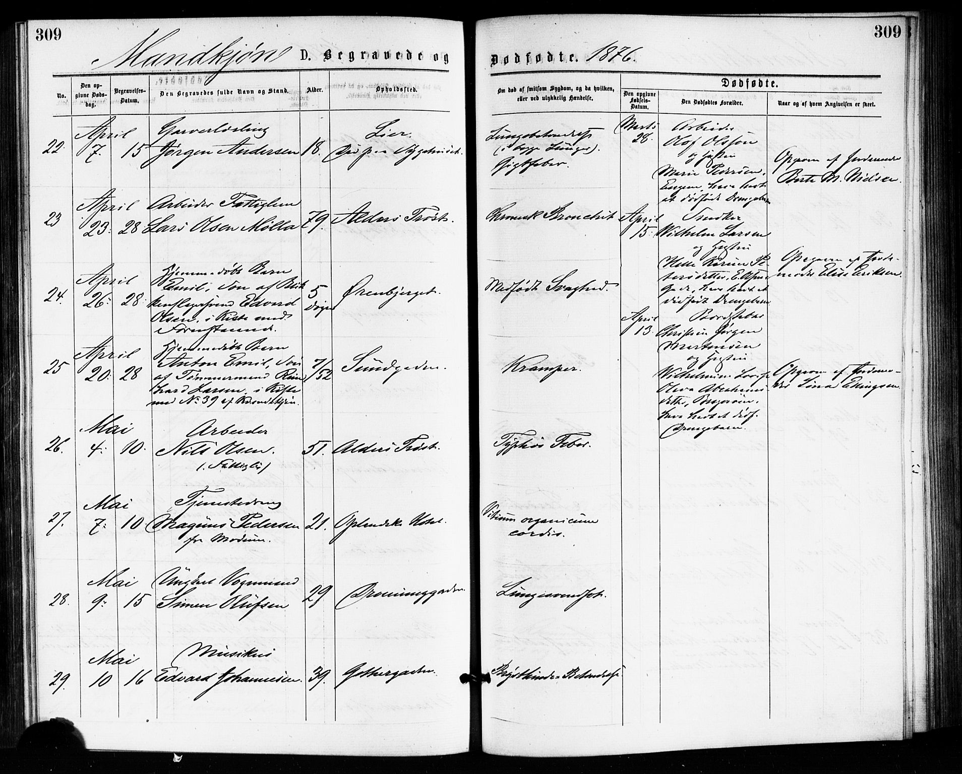 Bragernes kirkebøker, AV/SAKO-A-6/F/Fb/L0005: Ministerialbok nr. II 5, 1875-1877, s. 309