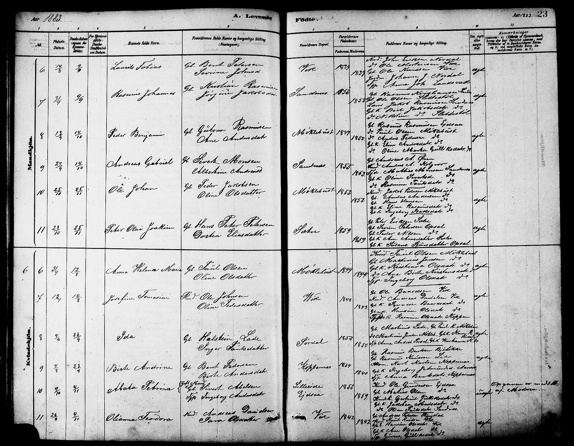 Ministerialprotokoller, klokkerbøker og fødselsregistre - Møre og Romsdal, AV/SAT-A-1454/502/L0027: Klokkerbok nr. 502C01, 1878-1908, s. 23