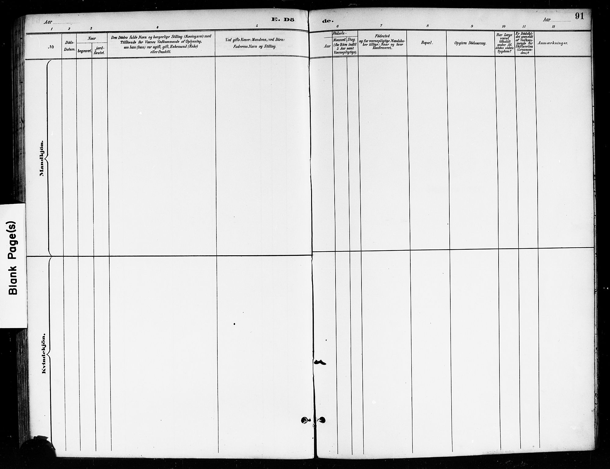 Skiptvet prestekontor Kirkebøker, SAO/A-20009/F/Fa/L0010: Ministerialbok nr. 10, 1890-1900, s. 91