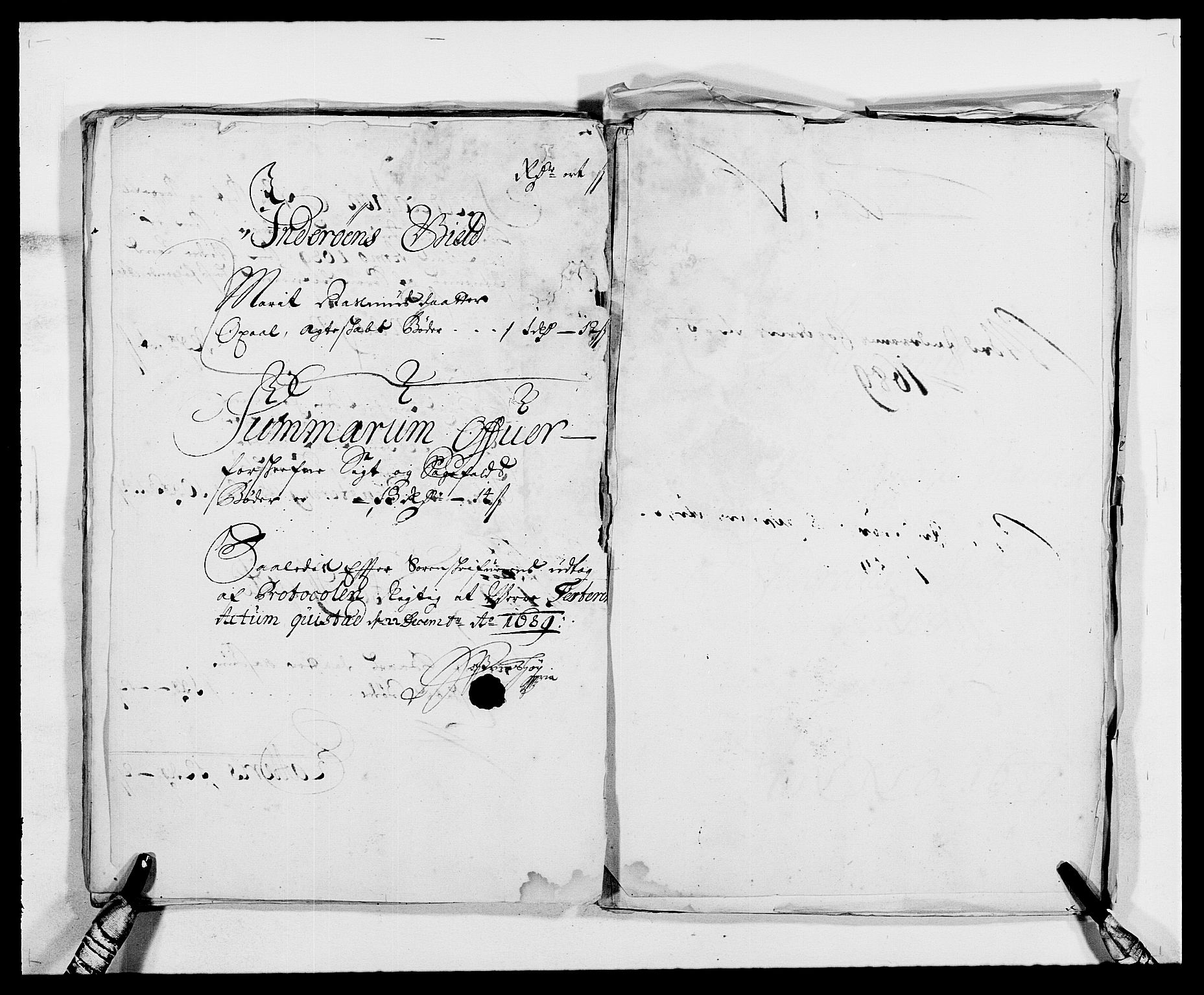 Rentekammeret inntil 1814, Reviderte regnskaper, Fogderegnskap, AV/RA-EA-4092/R63/L4306: Fogderegnskap Inderøy, 1687-1689, s. 481