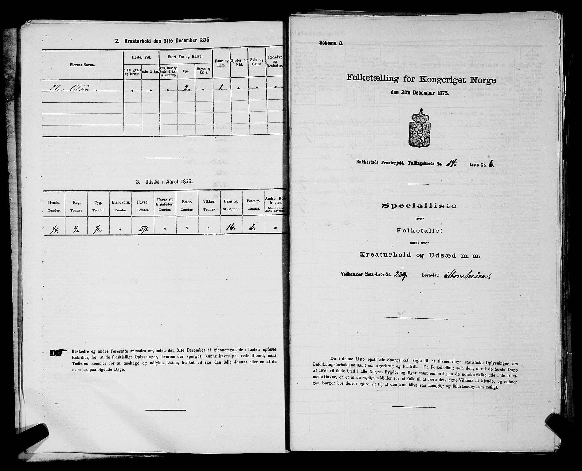 RA, Folketelling 1875 for 0128P Rakkestad prestegjeld, 1875, s. 1613