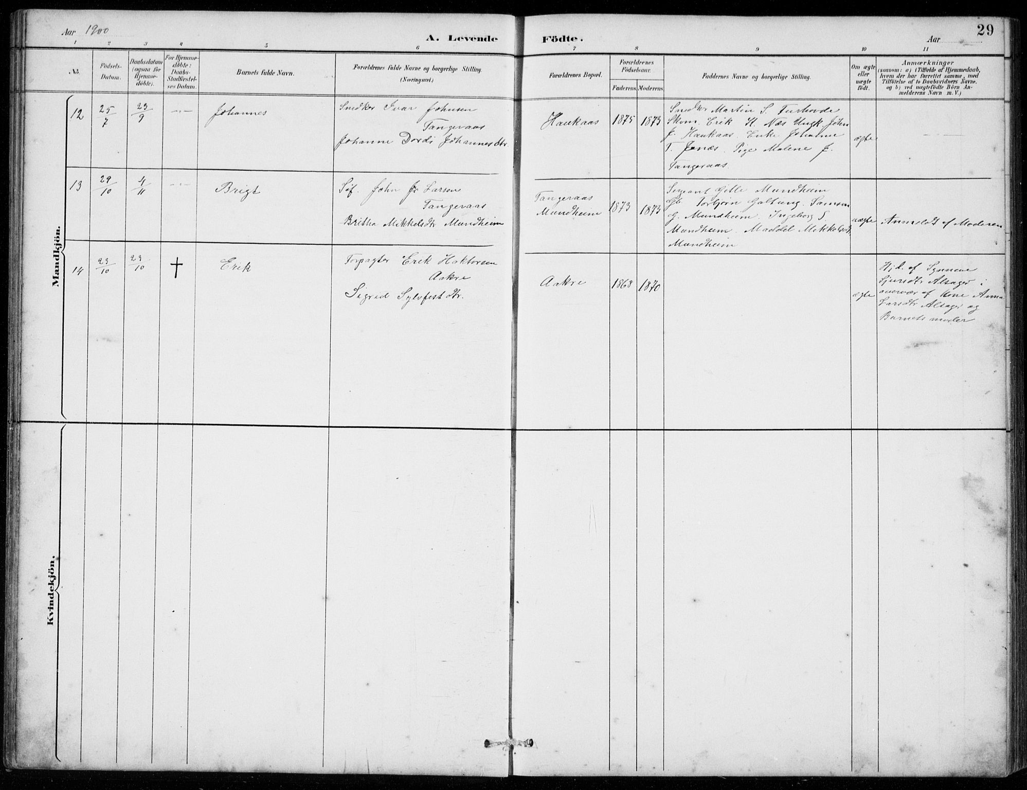 Strandebarm sokneprestembete, AV/SAB-A-78401/H/Hab: Klokkerbok nr. C  1, 1891-1913, s. 29